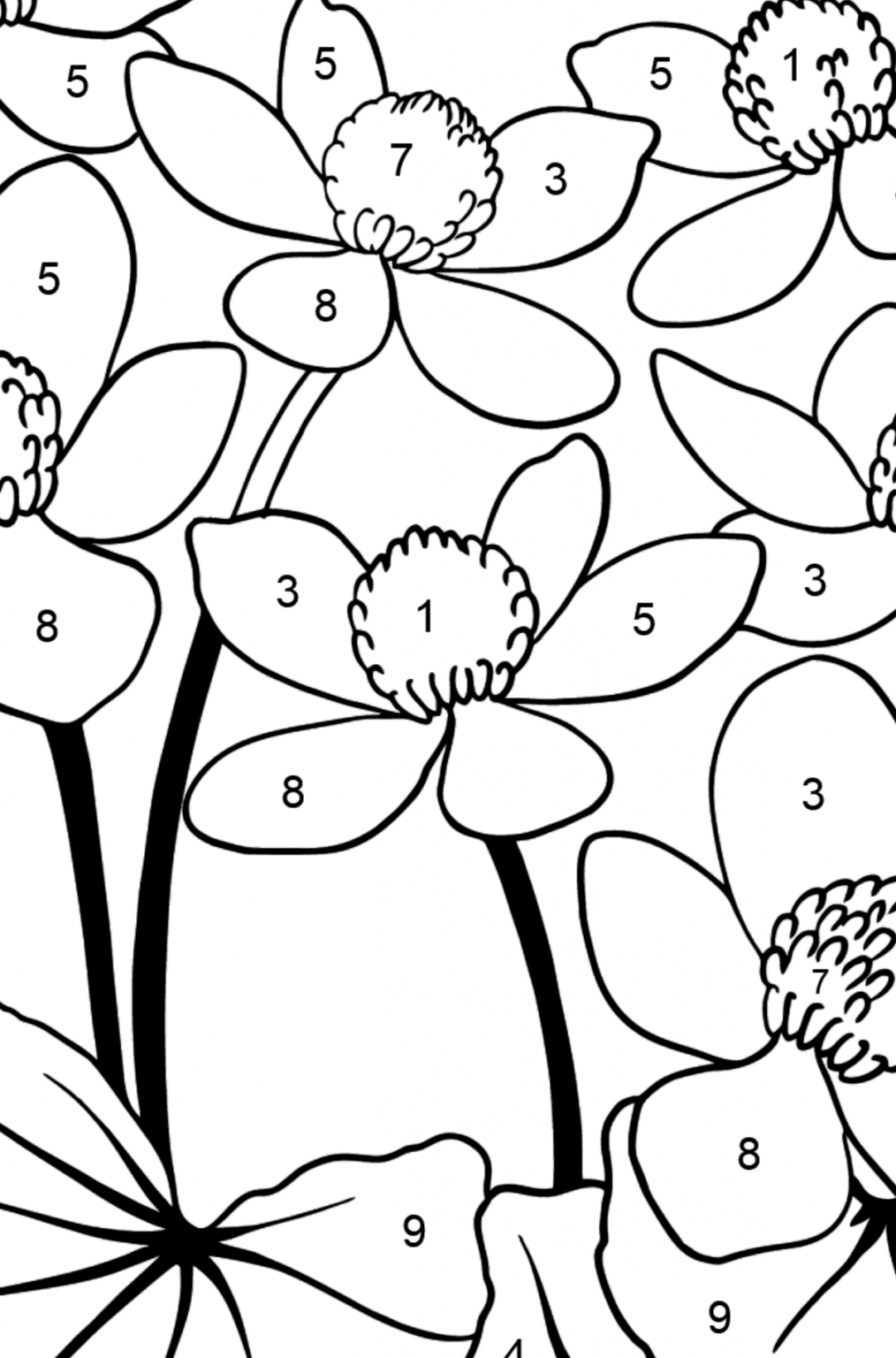 Flower Coloring Page - Marsh Marigold ♥ Online and Print for Free!