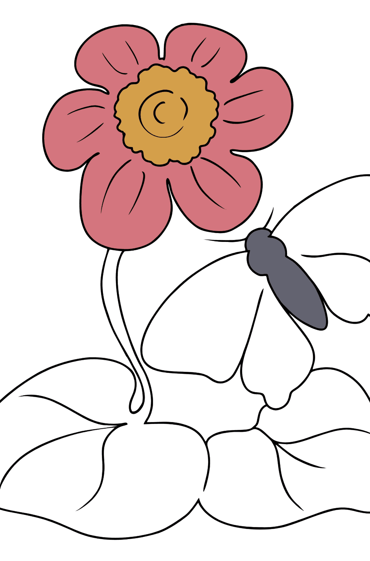Раскраска Цветы и Бабочка - Картинки для Детей
