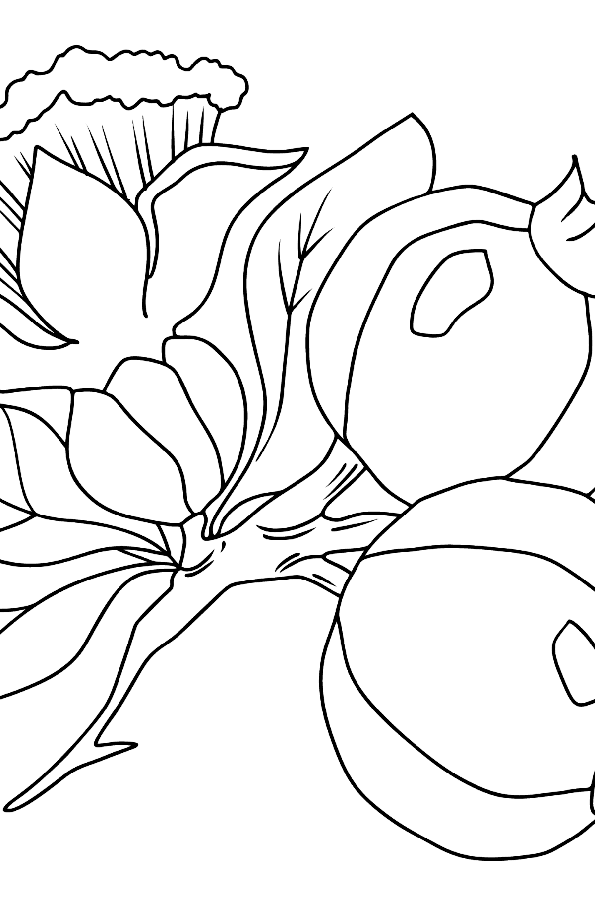 Desenho para colorir - flores e frutas