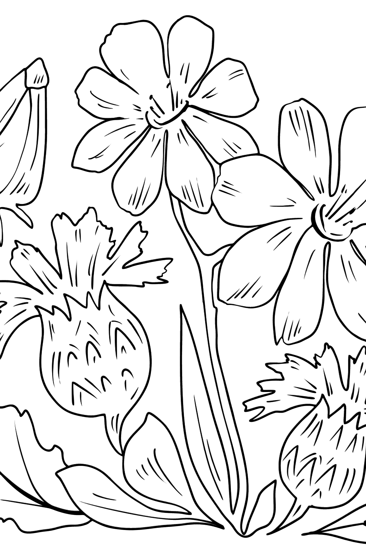 Dibujo para colorear de flores - flores en el prado - Dibujos para Colorear para Niños