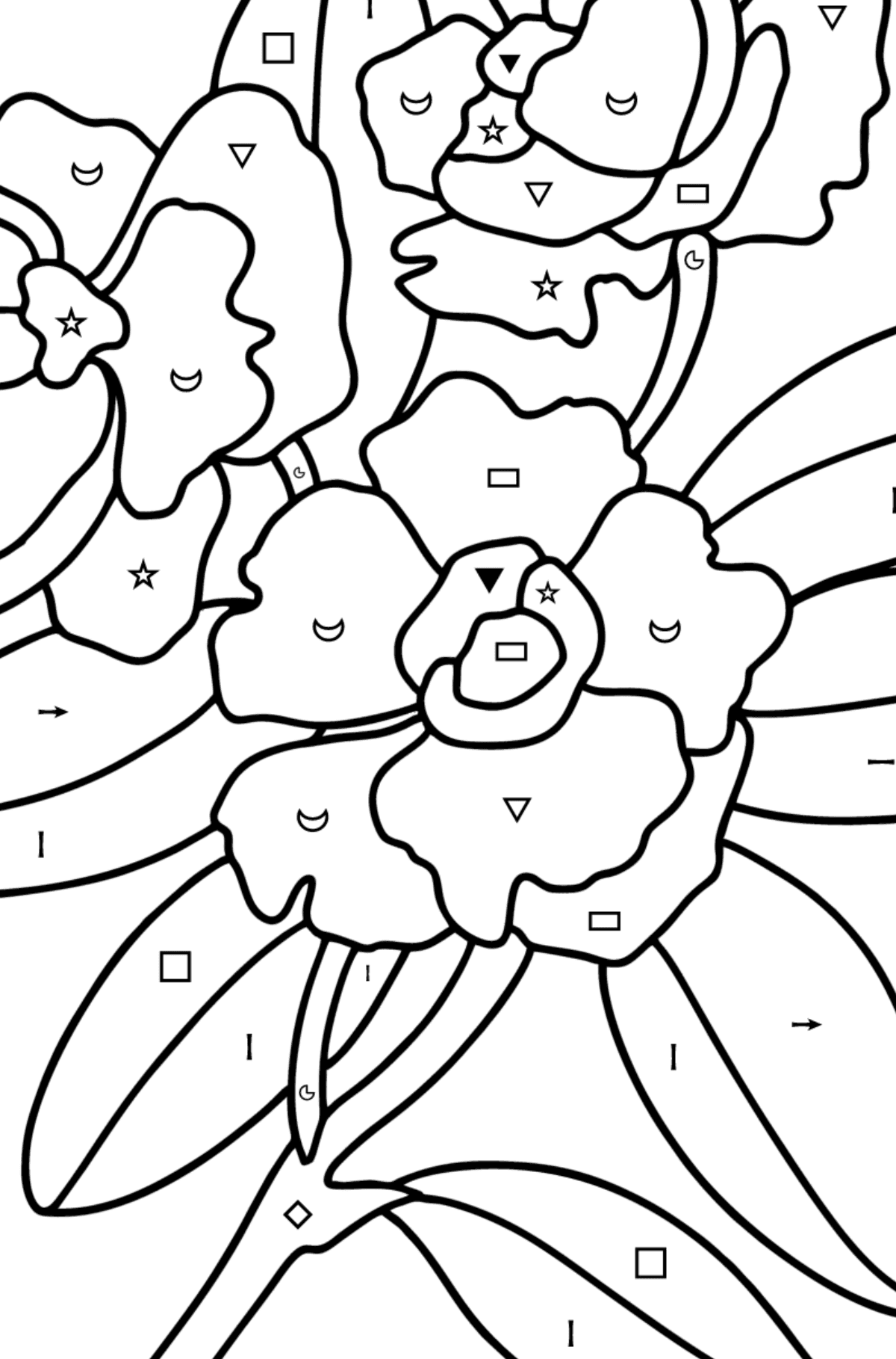 Gardenia coloring page - Coloring by Symbols and Geometric Shapes for Kids