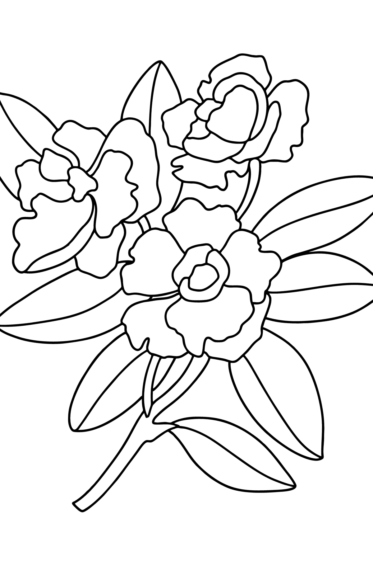 Tegning til fargelegging Gardenia - Tegninger til fargelegging for barn