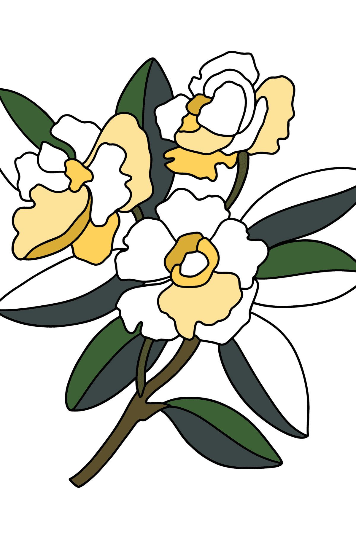 Disegno di Gardenia da colorare - Disegni da colorare per bambini