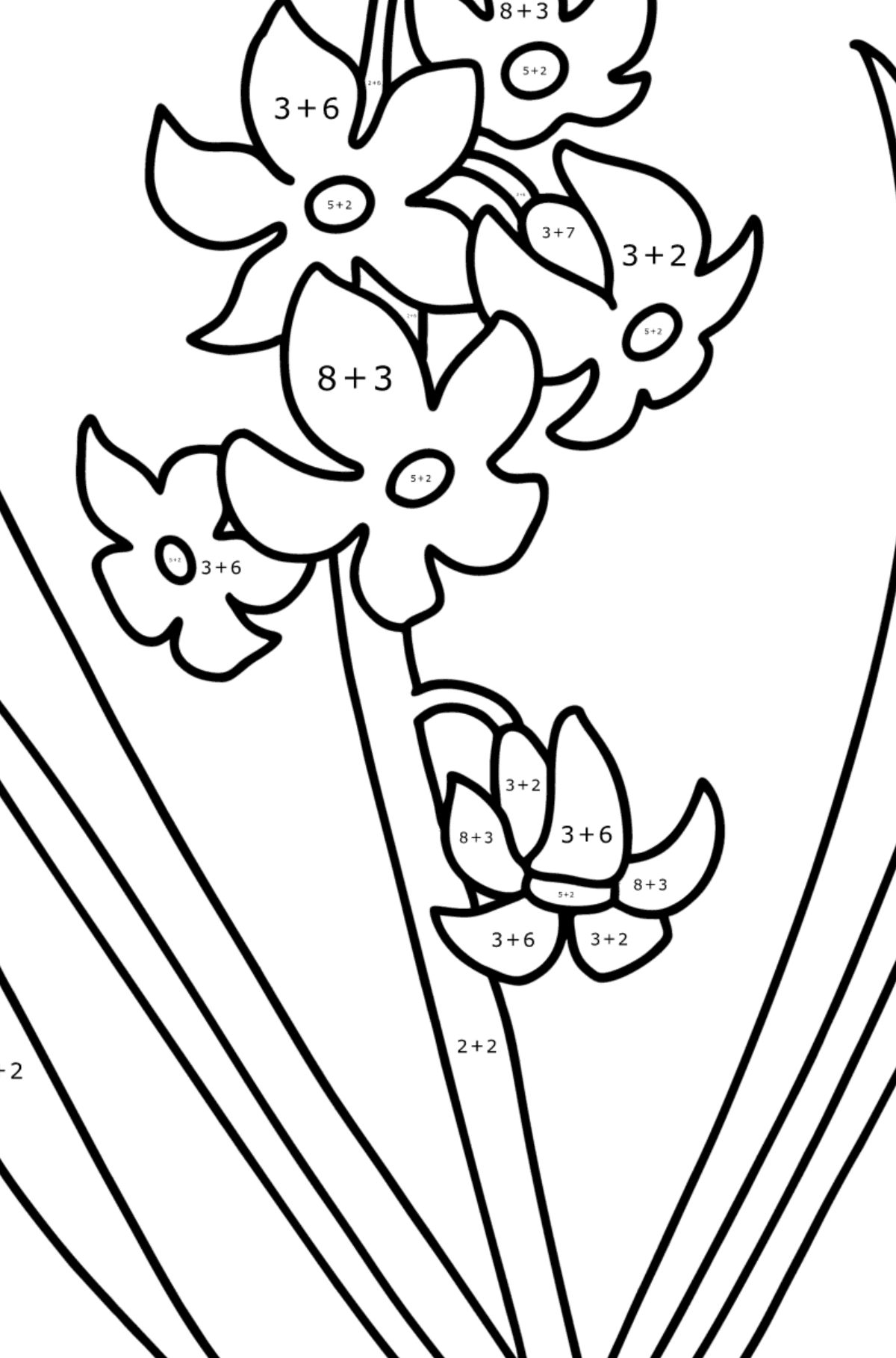 Hyacinth coloring page - Math Coloring - Addition for Kids