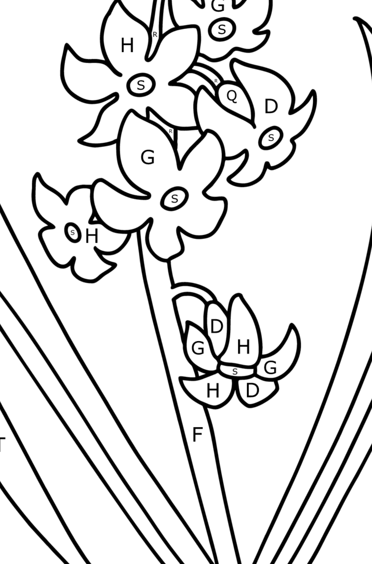 Hyacinth coloring page - Coloring by Letters for Kids