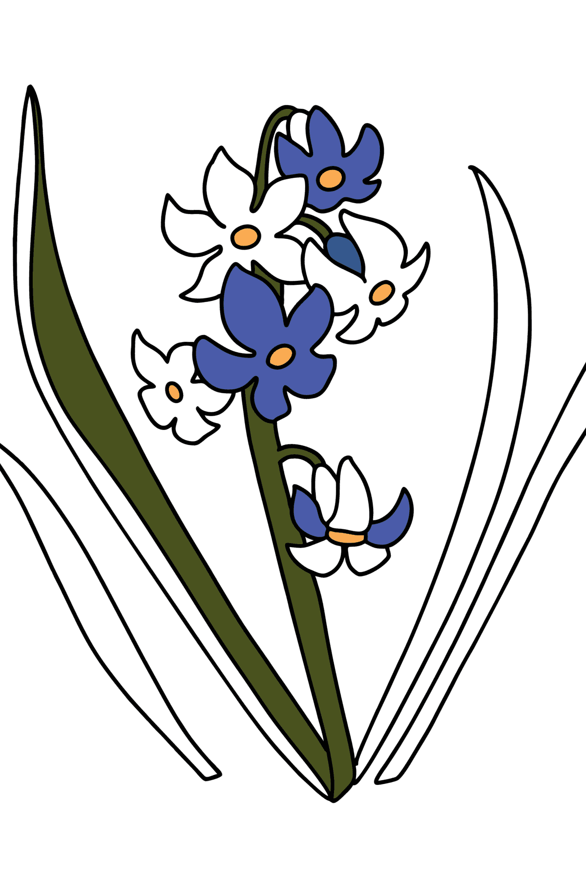 Hyacinth coloring page - Coloring Pages for Kids