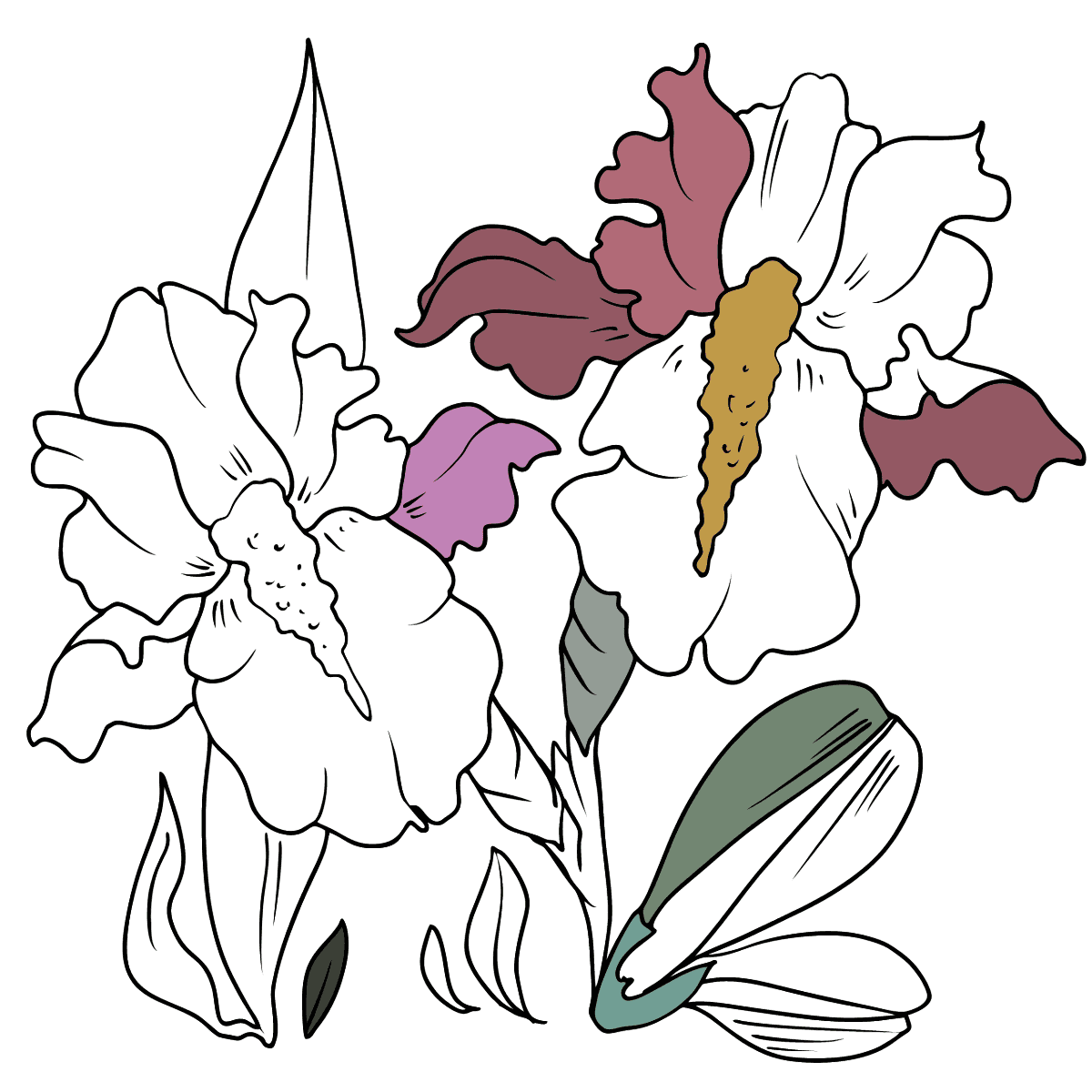 NOUVEAU