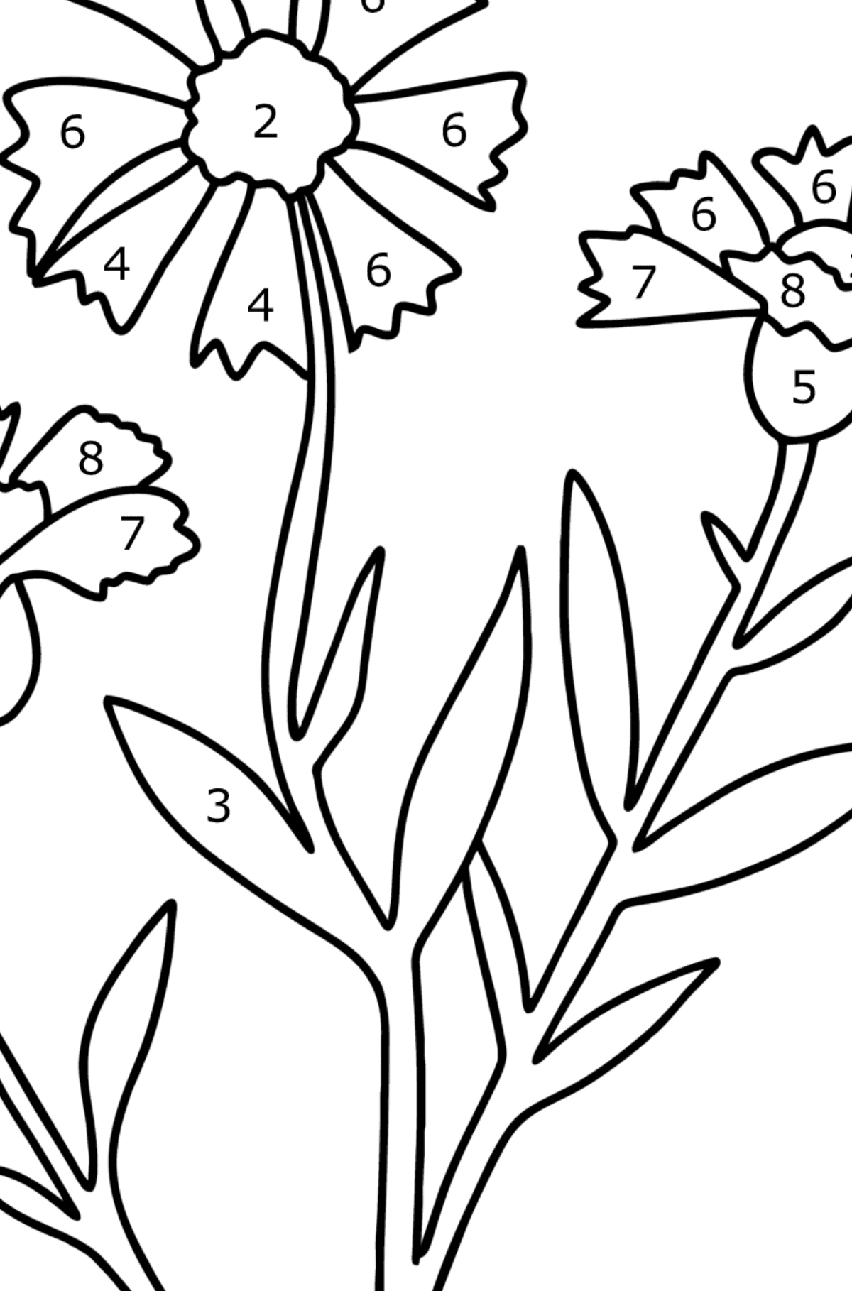 Knapweed coloring page - Coloring by Numbers for Kids