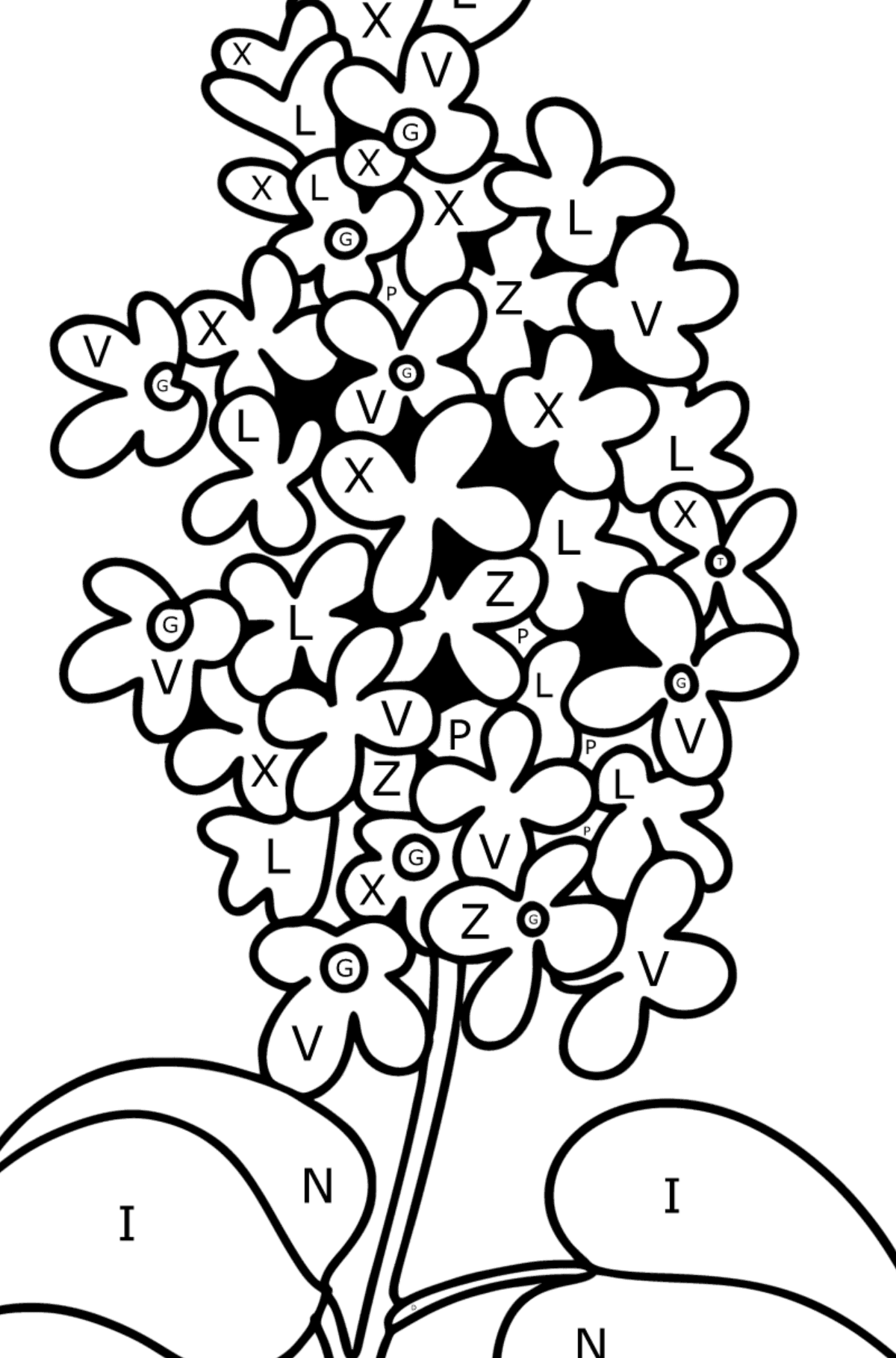 Lilac sprig coloring page - Coloring by Letters for Kids