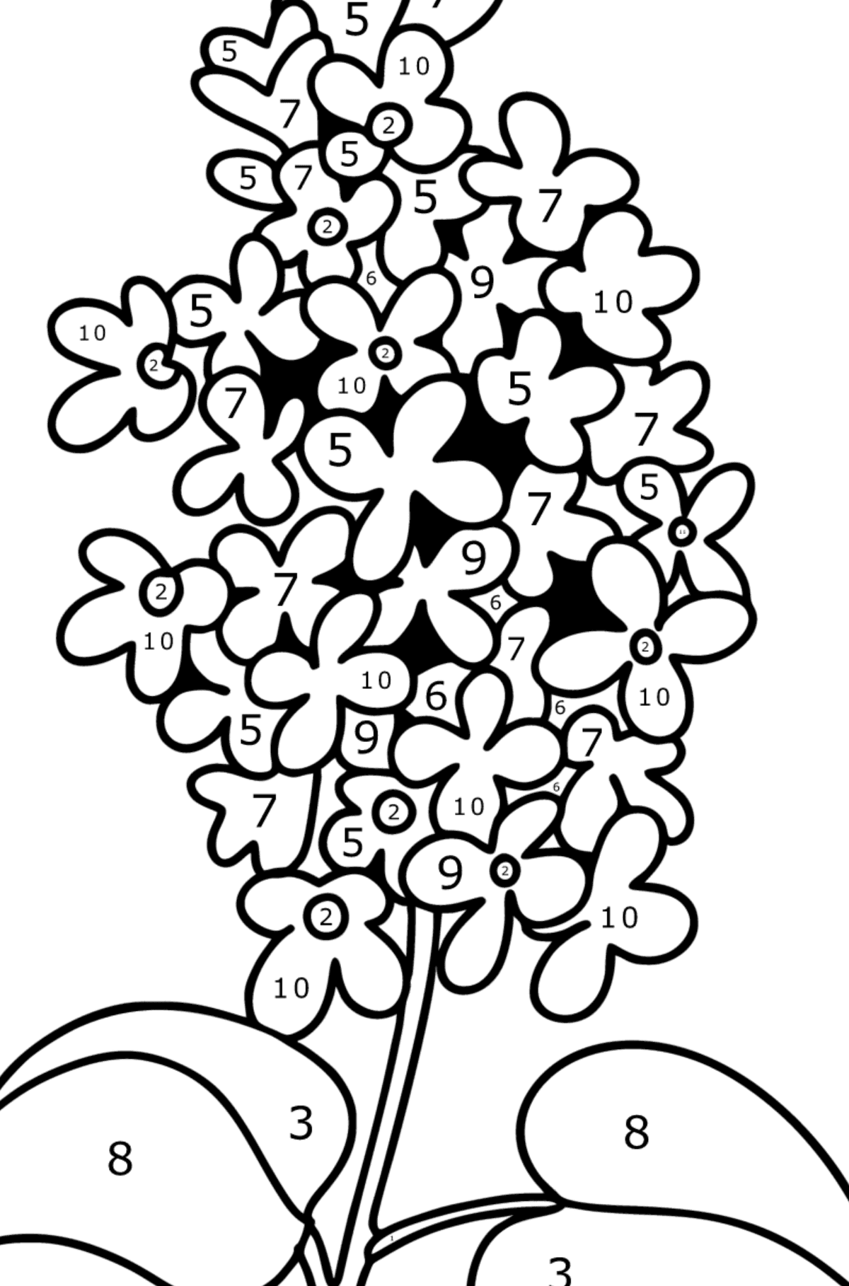 Lilac sprig coloring page - Coloring by Numbers for Kids