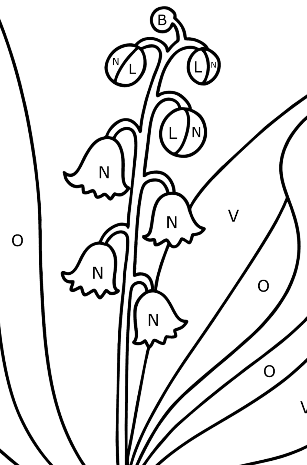 Lily of valley coloring page - Coloring by Letters for Kids
