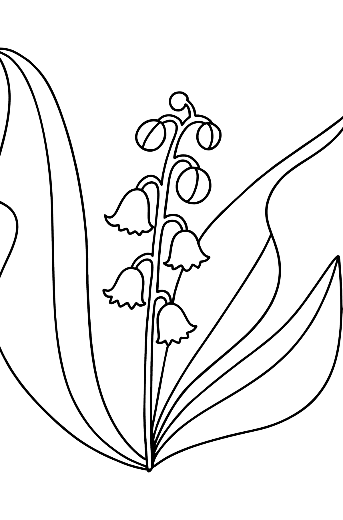 Lily of valley coloring page - Coloring Pages for Kids