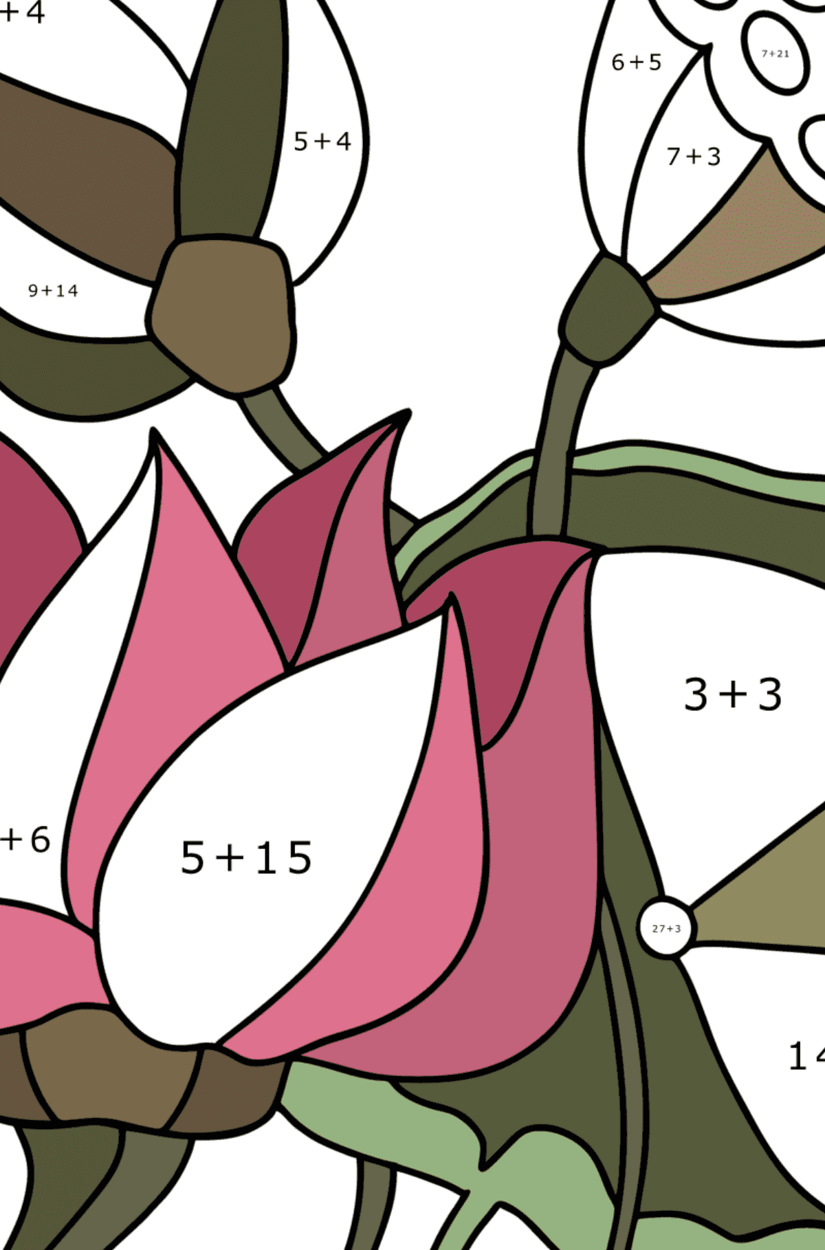 Ausmalbild Lotus - Mathe Ausmalbilder - Addition für Kinder
