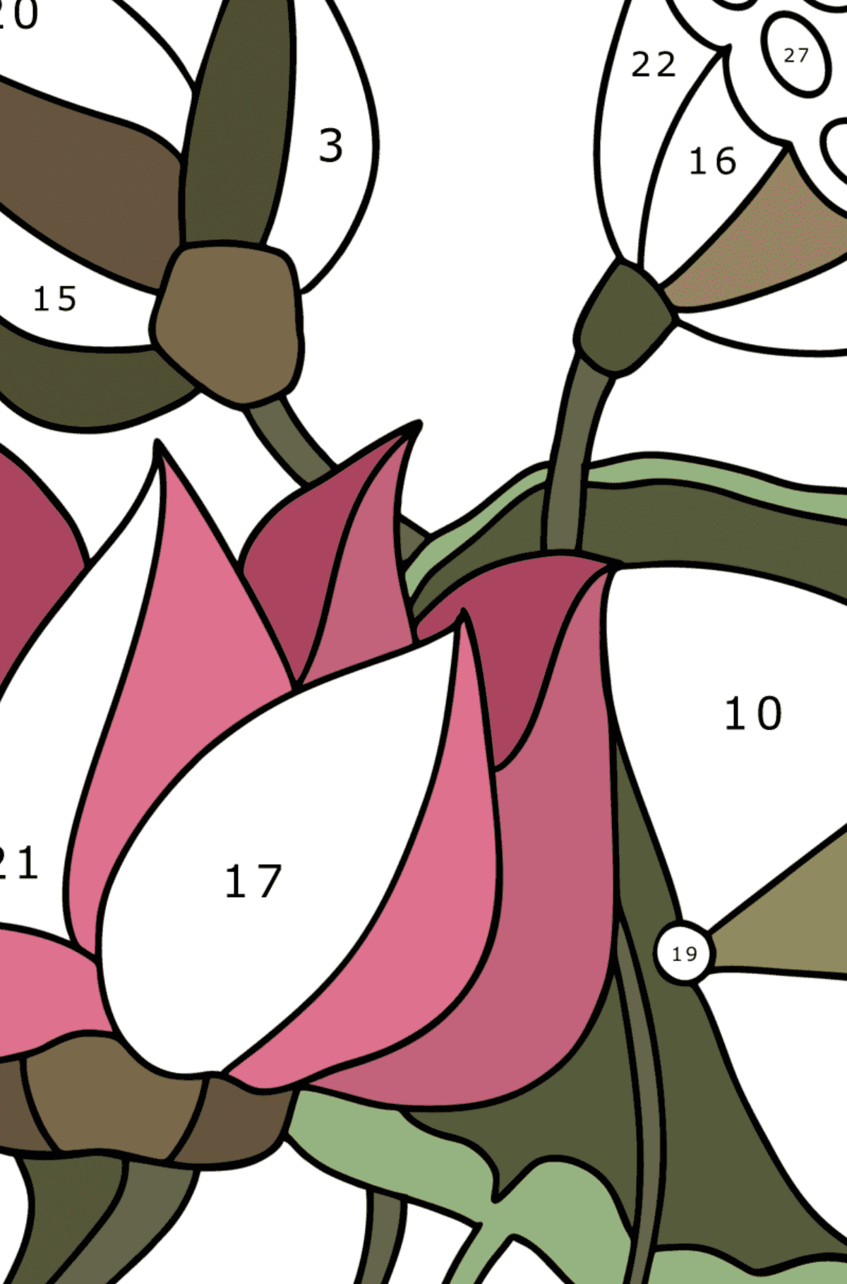 Lotus coloring page - Coloring by Numbers for Kids