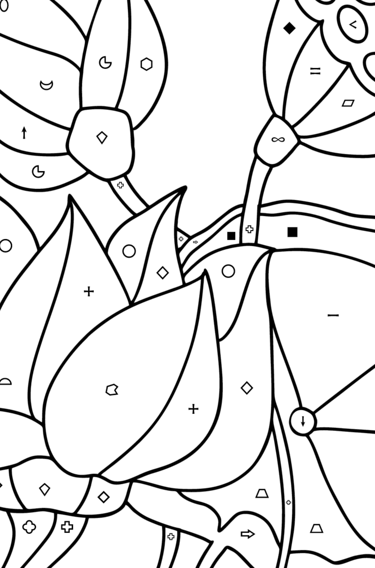 Lotus coloring page - Coloring by Symbols and Geometric Shapes for Kids