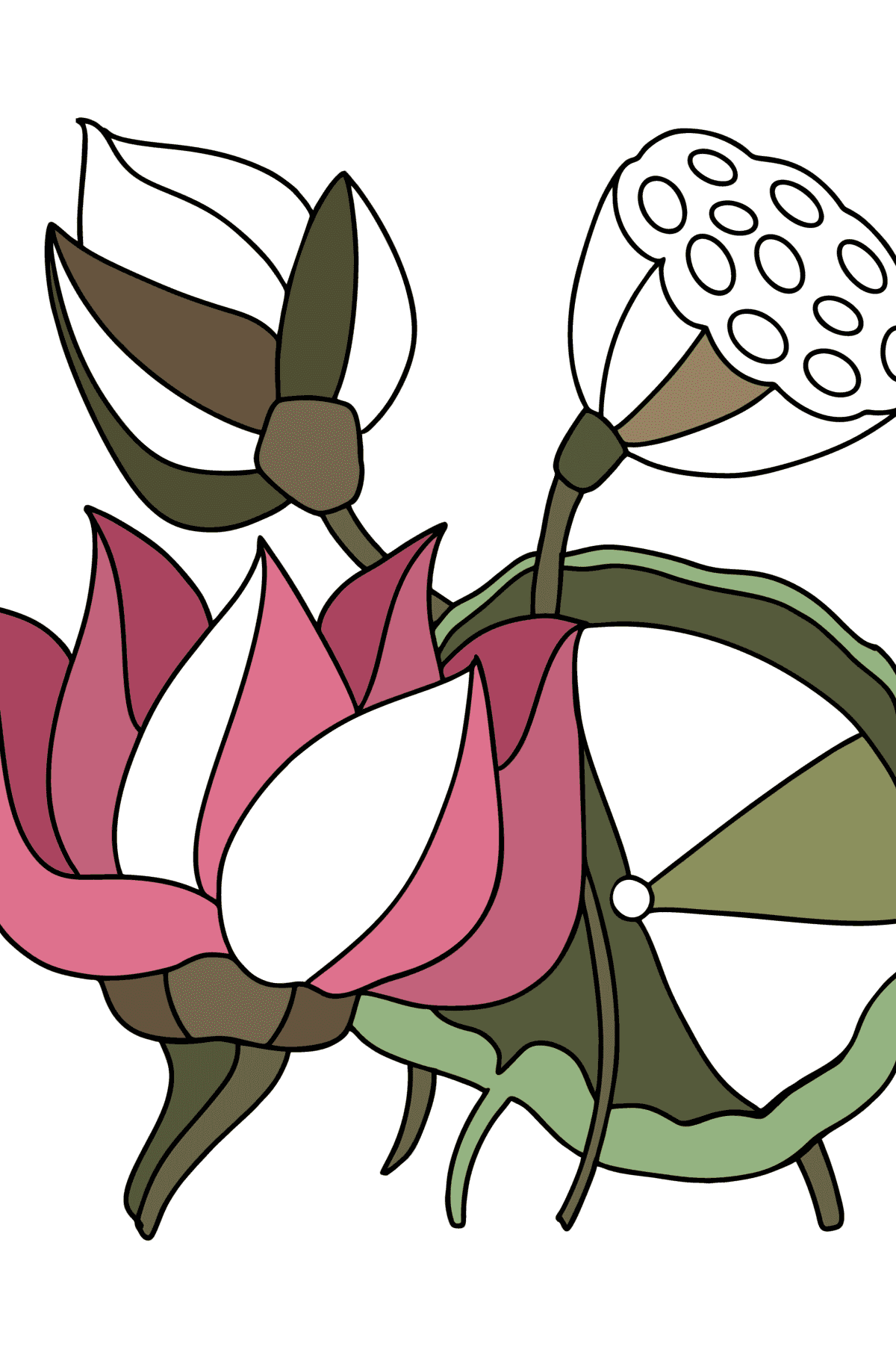 Tegning til farvning Lotus - Tegninger til farvelægning for børn