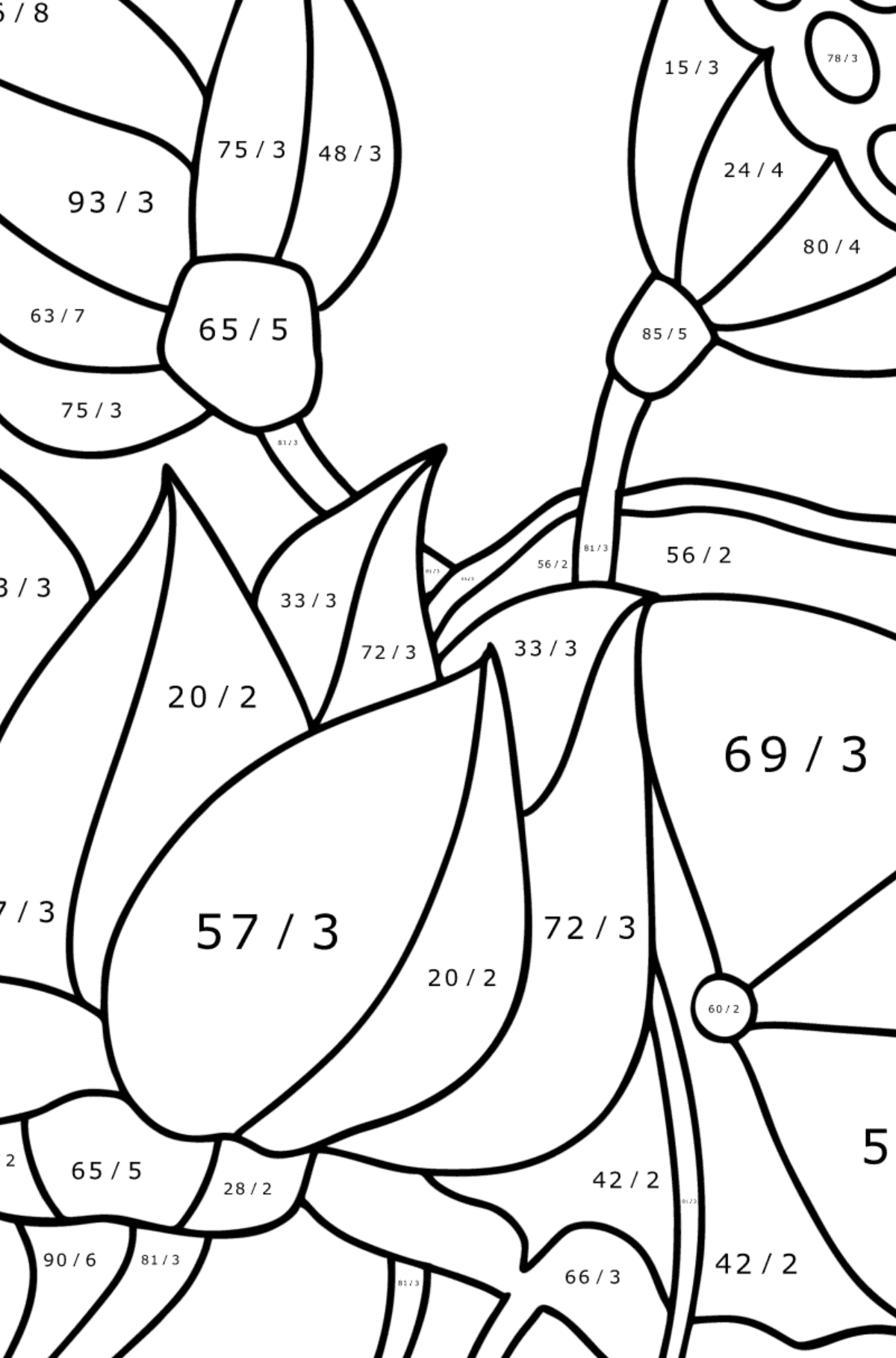 Lotus coloring page - Math Coloring - Division for Kids