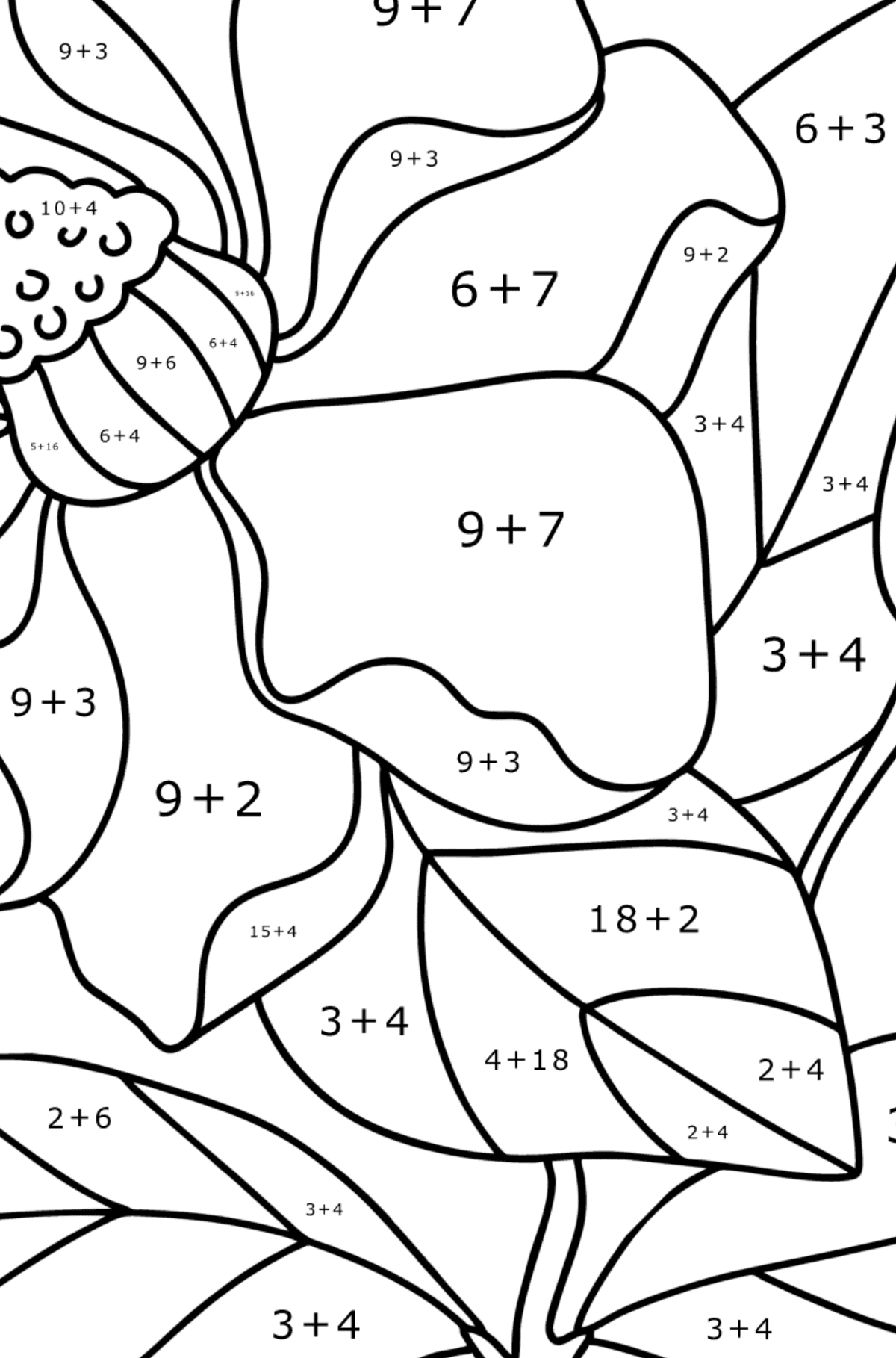 Tegning til farvning Magnolia - Matematisk farvelægning side -- Tilføjelse for børn