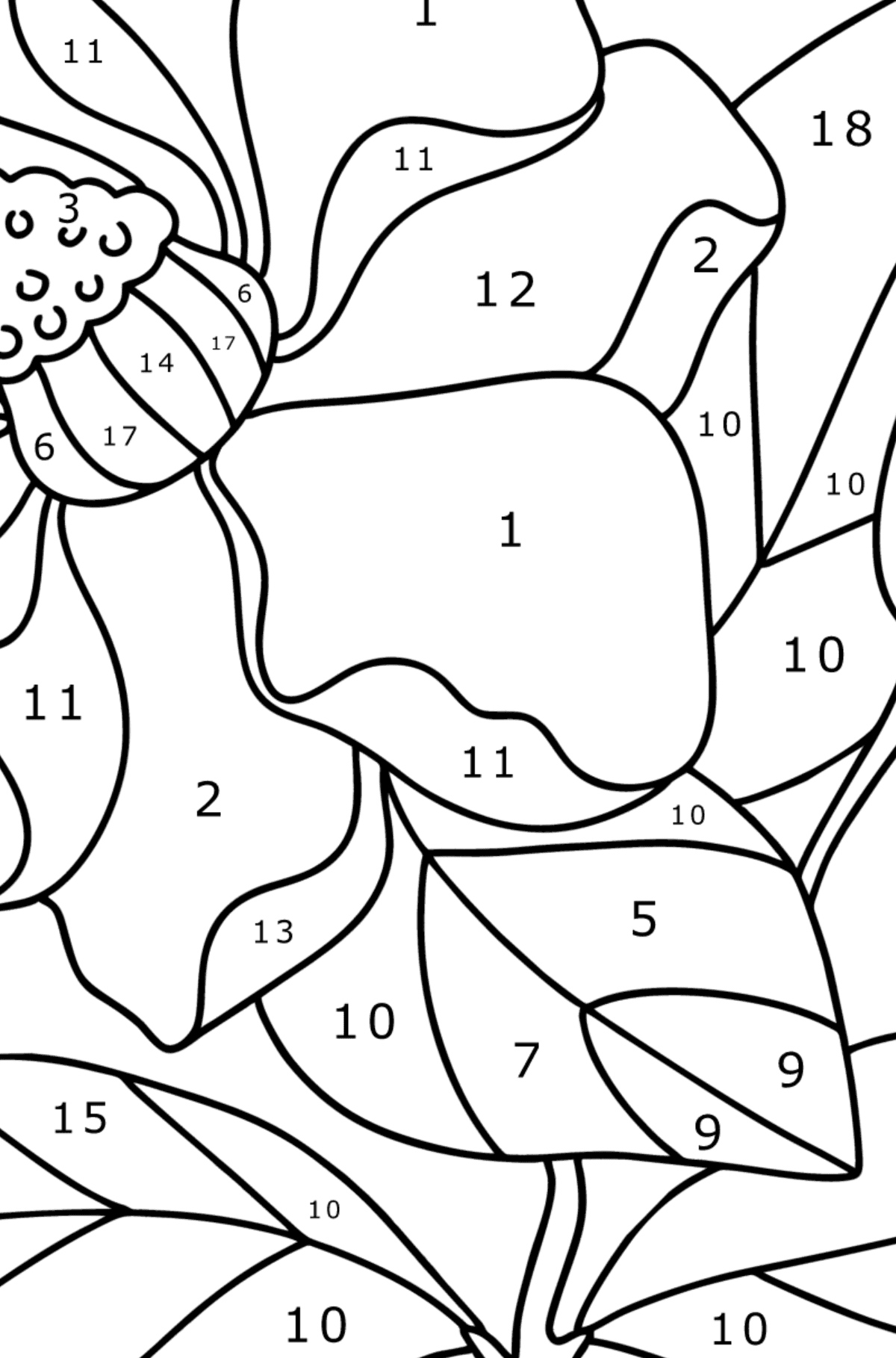 Desen de colorat Magnolie - Desen de colorat după Număr pentru copii