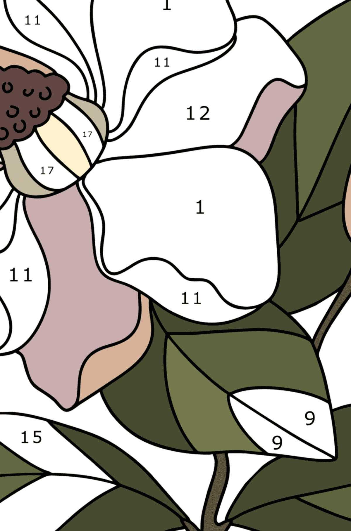 Magnolia coloring page - Coloring by Numbers for Kids