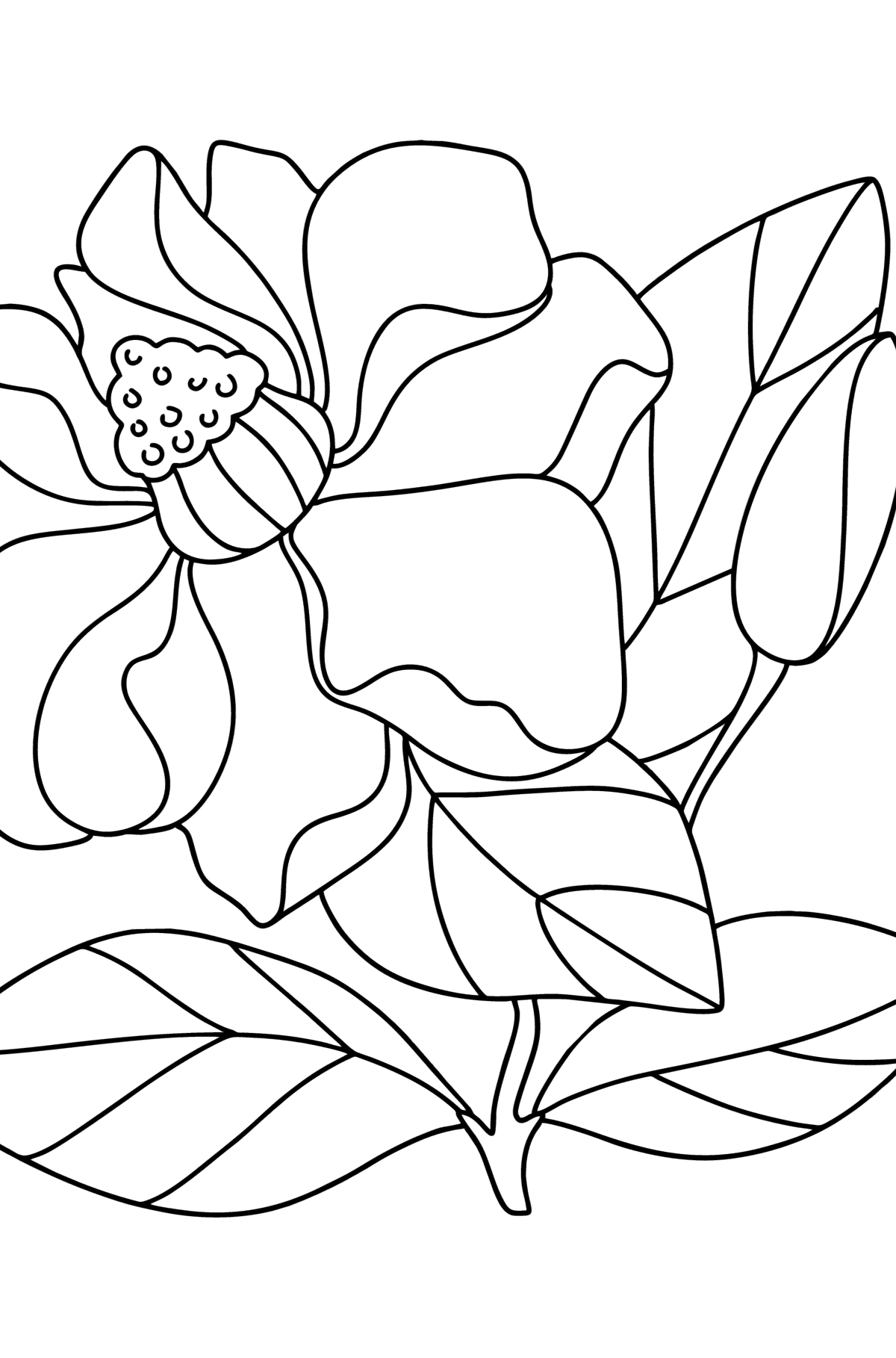 Dibujo de Magnolia para colorear - Dibujos para Colorear para Niños
