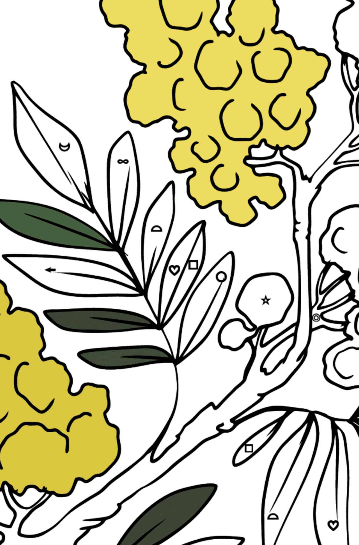 Dibujo de flor para colorear - Mimosa - Colorear por Símbolos para Niños