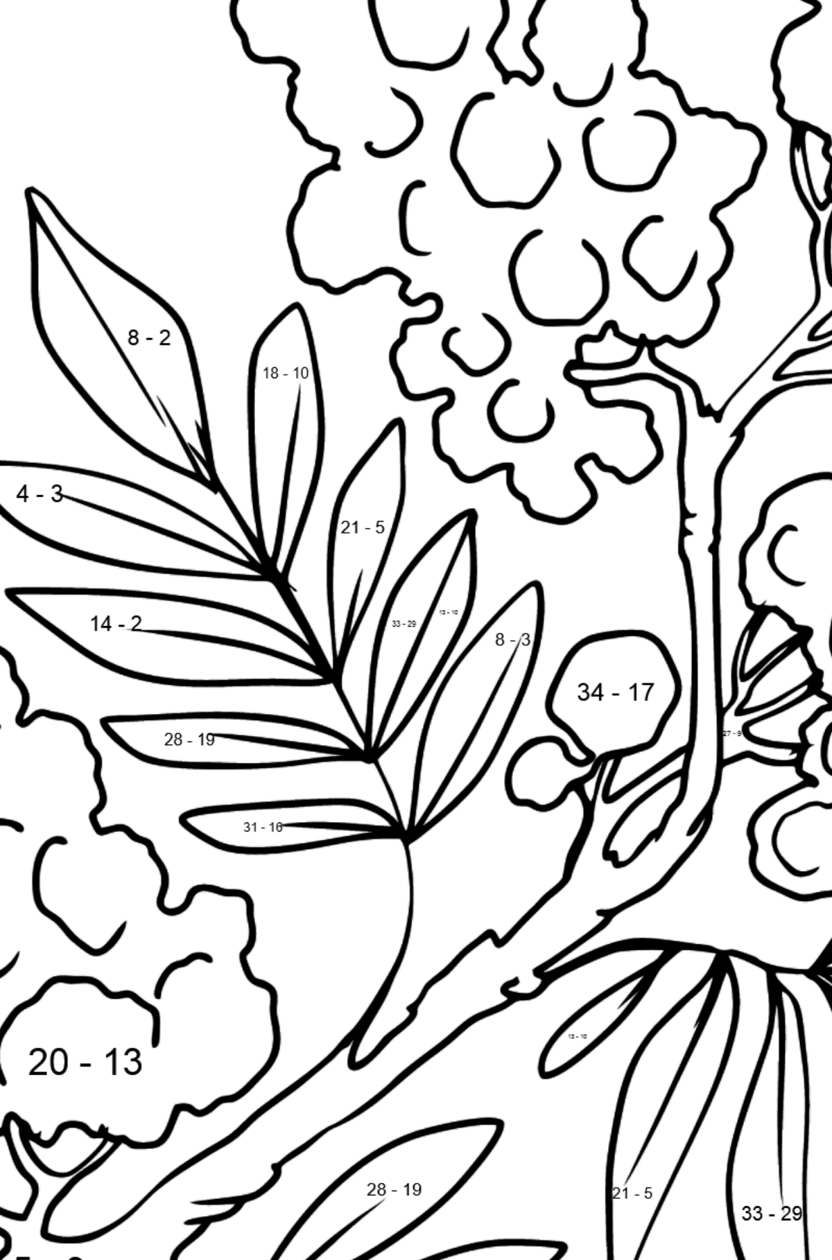 Dibujo de flor para colorear - Mimosa - Colorear con Matemáticas - Restas para Niños