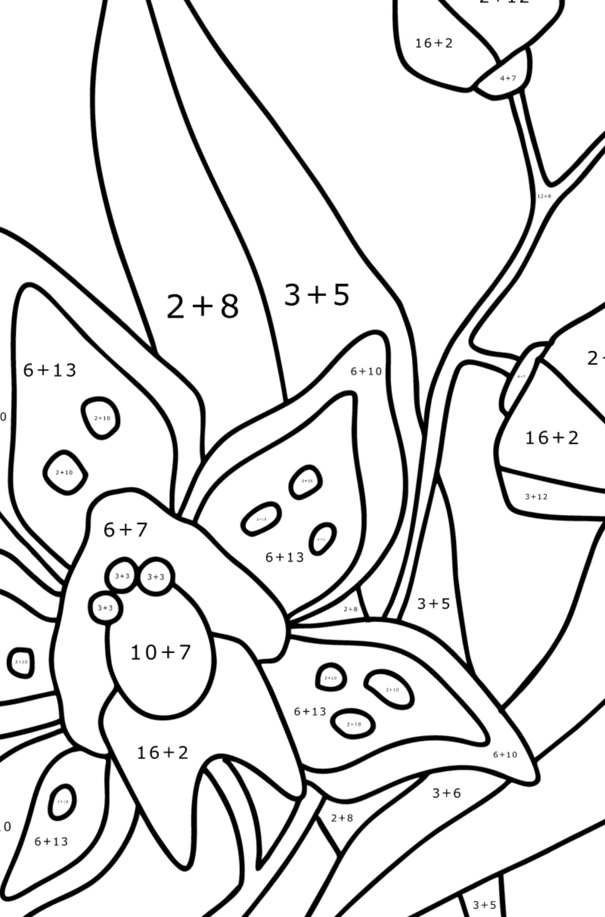Värityskuva Orkidea - Matemaattinen Väritys - Yhteenlasku lapsille