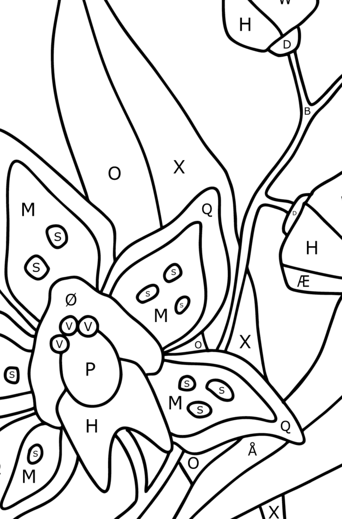 Tegning til farvning Orkidé - Farvelægning af brevene for børn
