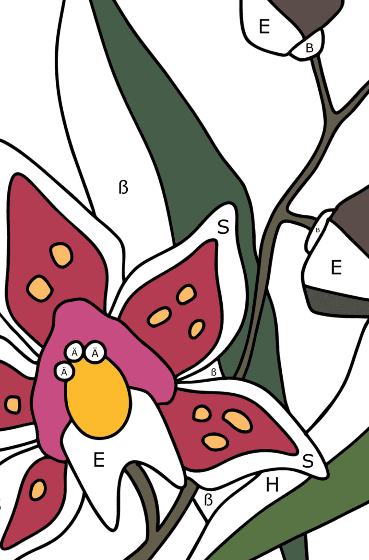 Ausmalbild Orchidee - Ausmalen nach Buchstaben für Kinder