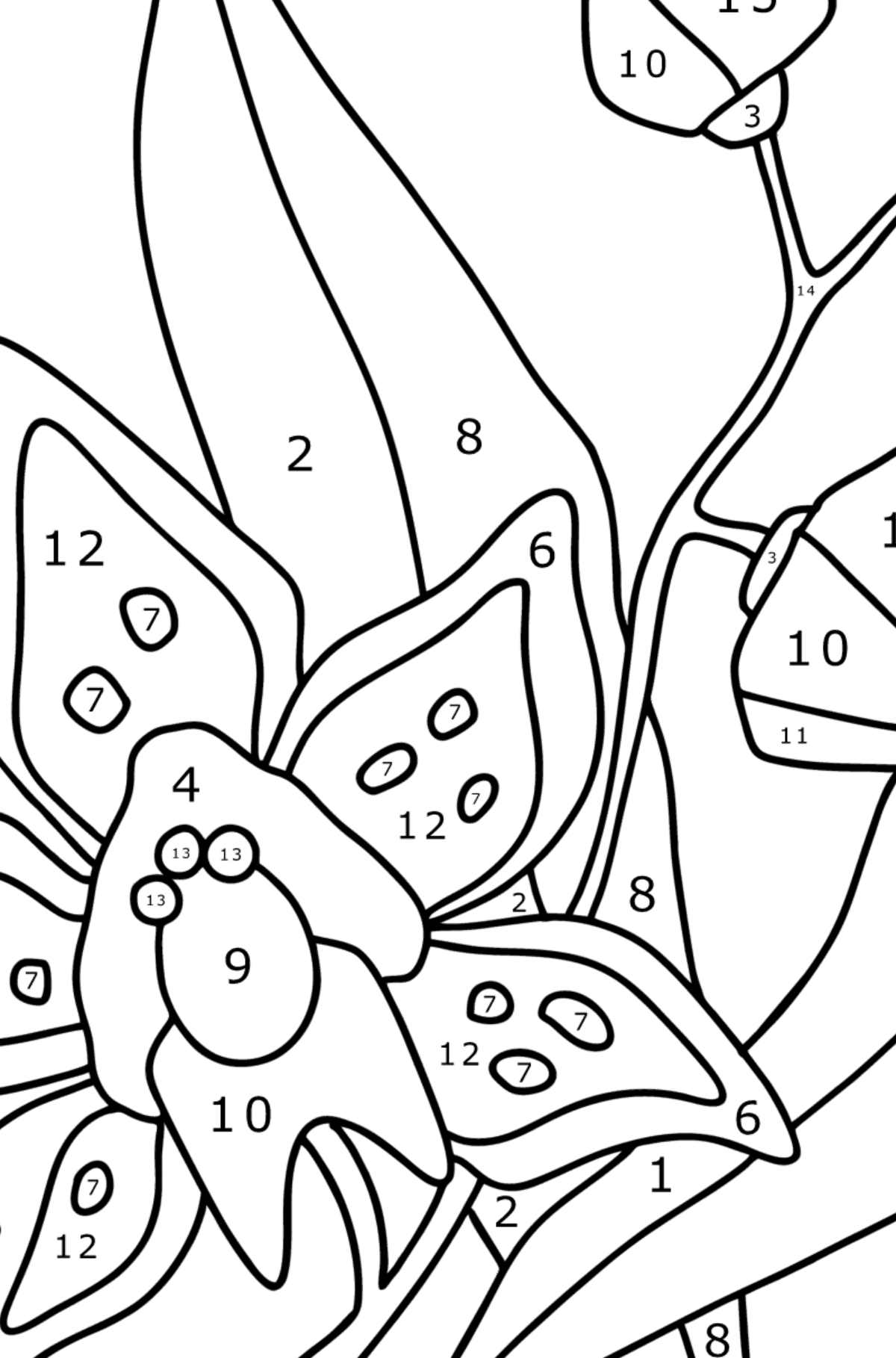 Värityskuva Orkidea - Väritys numeroiden mukaan lapsille
