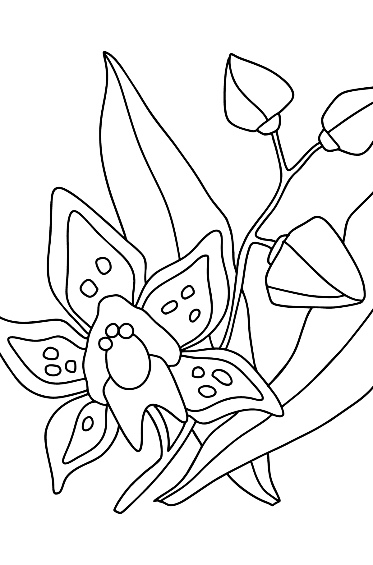 Tegning til farvning Orkidé - Tegninger til farvelægning for børn