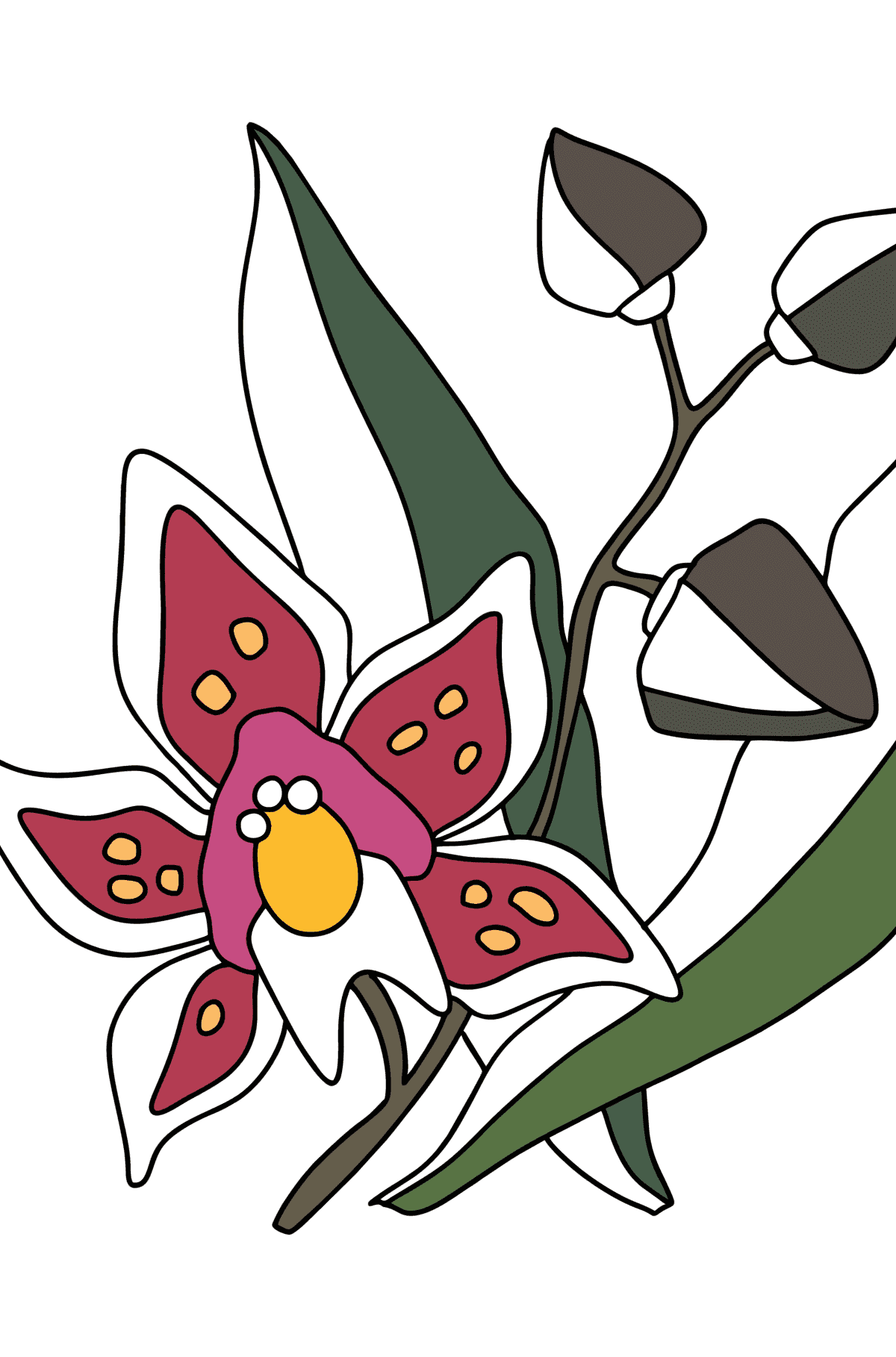 Tegning til fargelegging Orkidé - Tegninger til fargelegging for barn