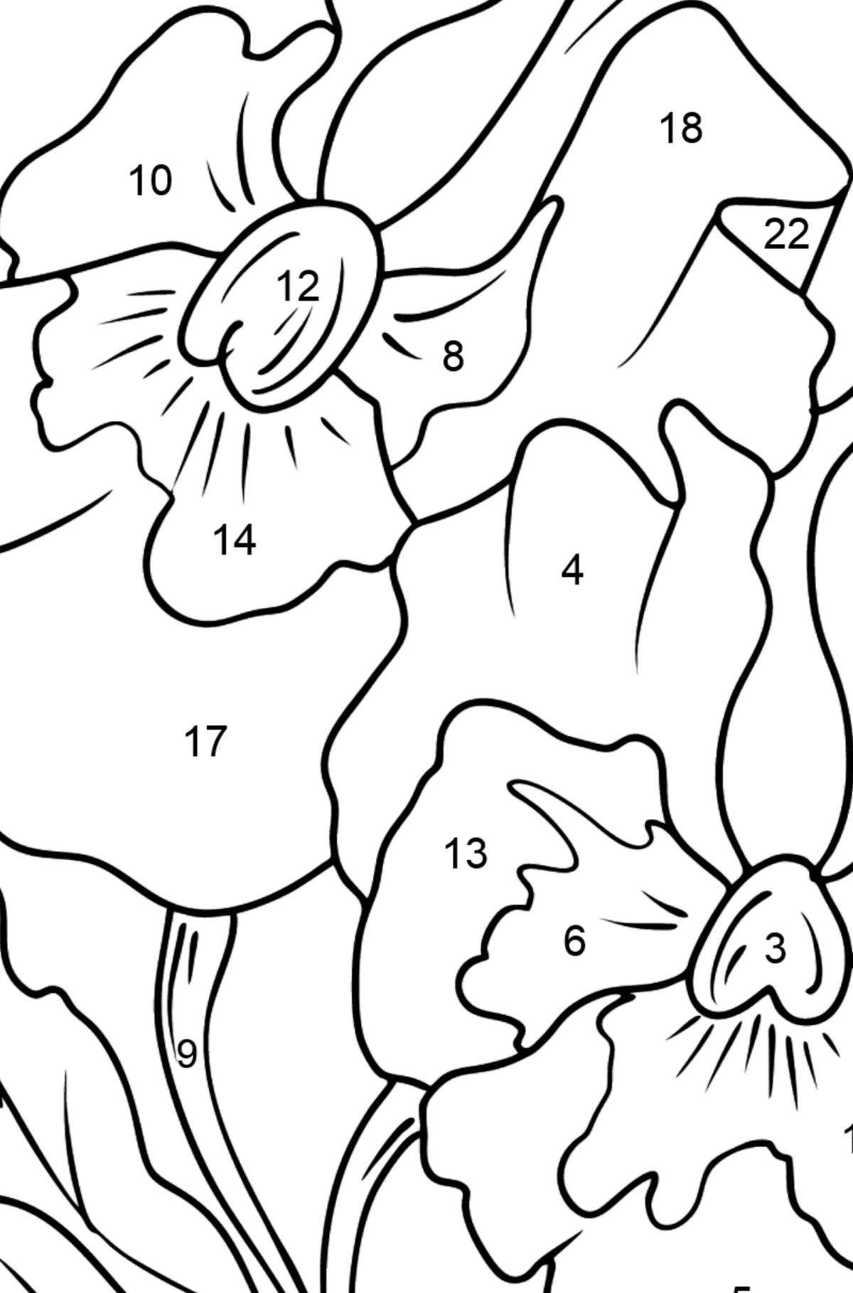 Tegning til farvning Stedmoderblomster - Farvelægning side af tallene for børn