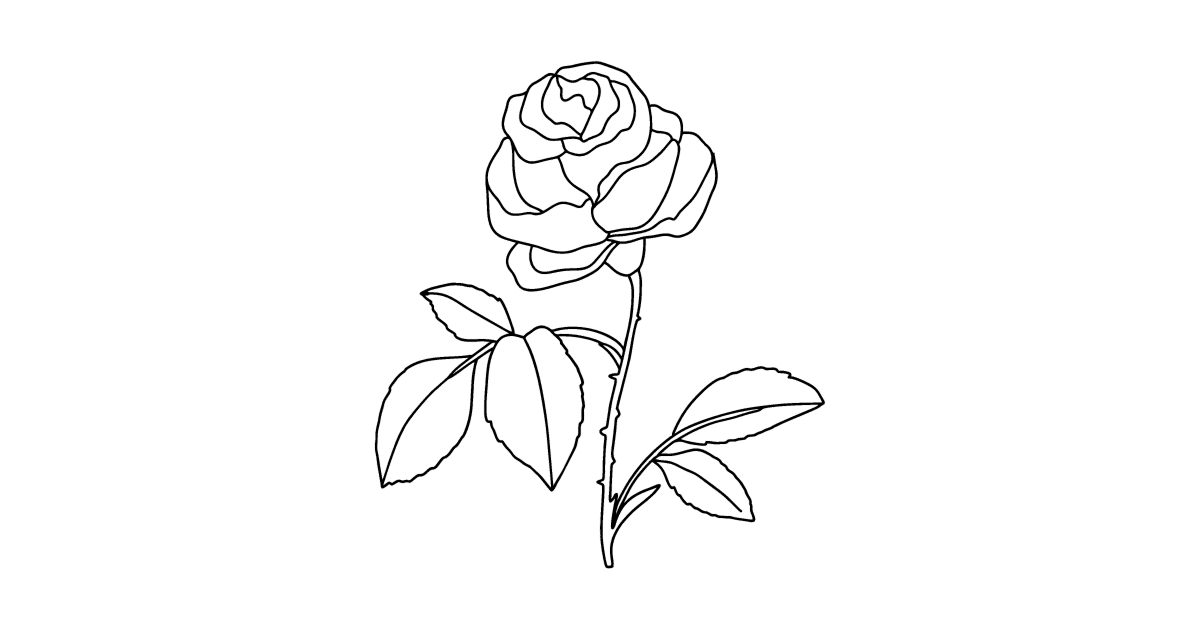 Red rose coloring page ♥ Online and Print for Free!