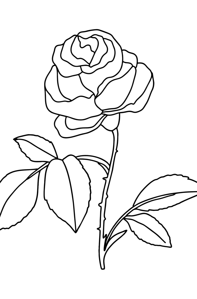 Red rose coloring page ♥ Online and Print for Free!
