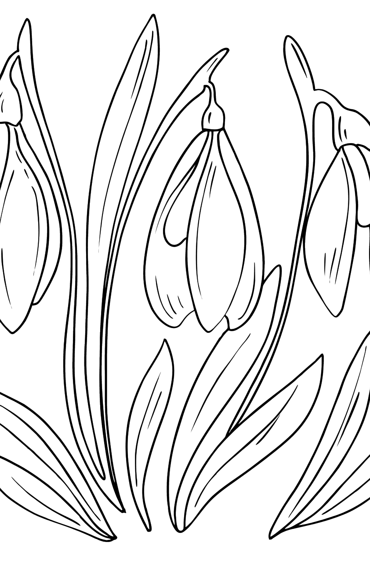 Snowdrops Coloring Page - Coloring Pages for Kids