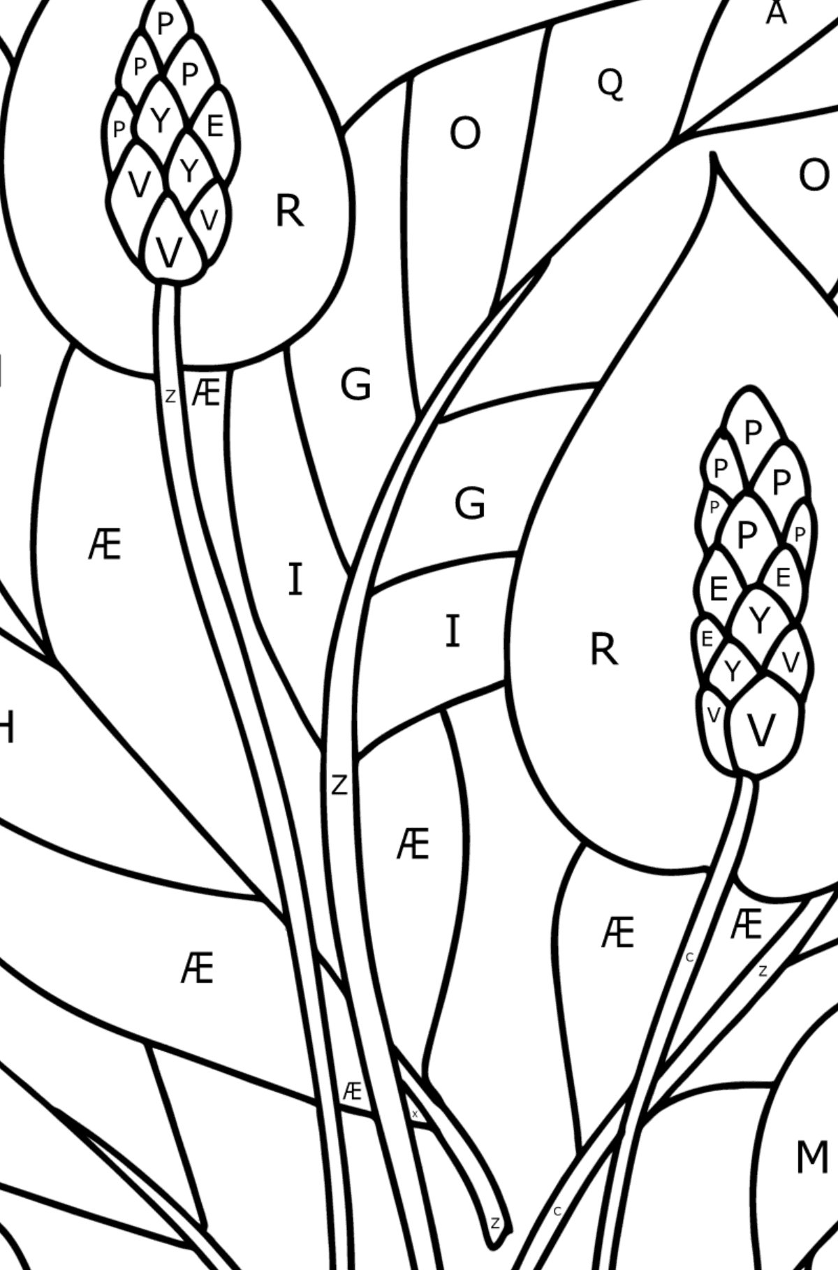 Tegning til farvning Spathiphyllum - Farvelægning af brevene for børn