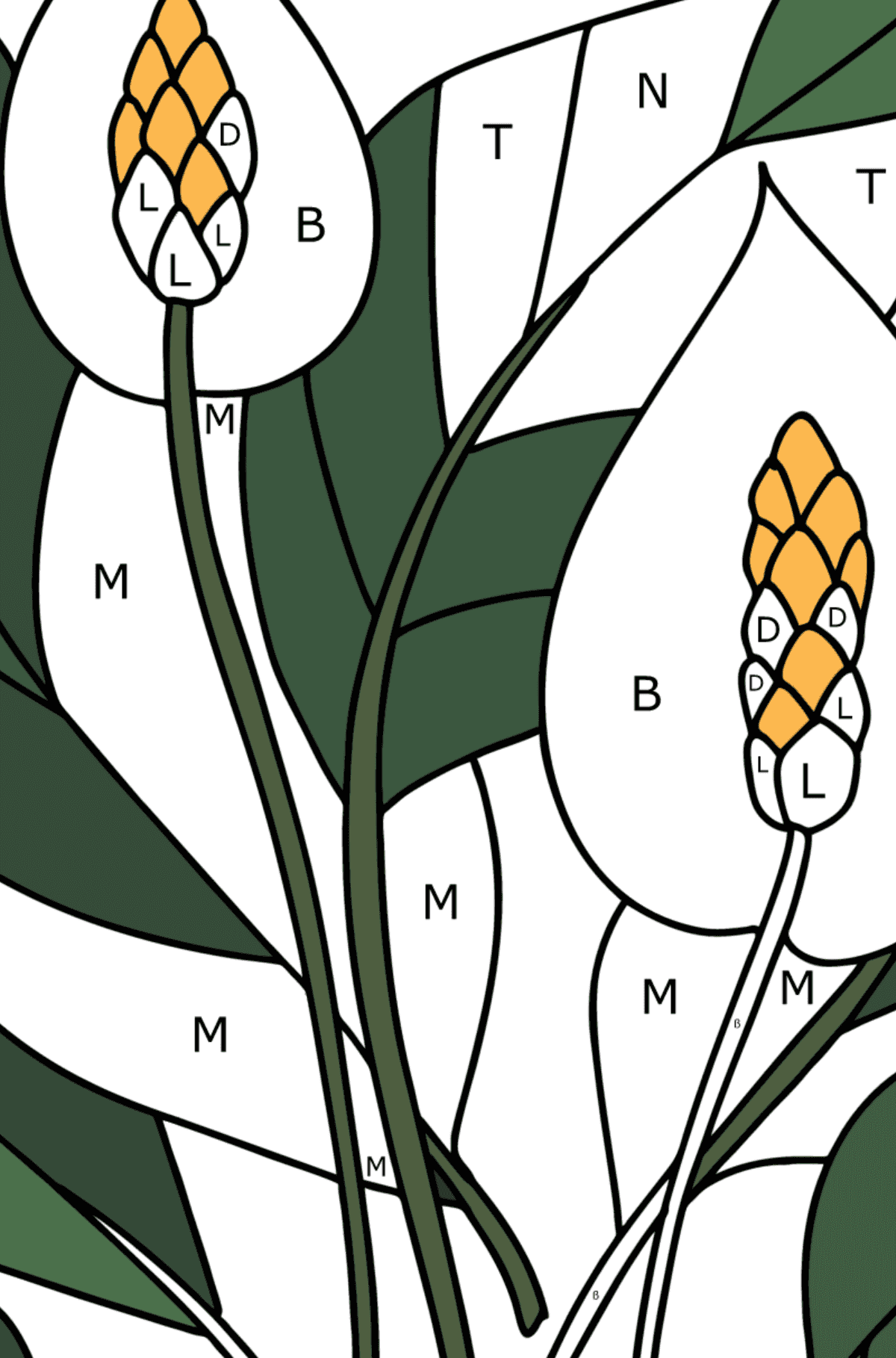 Ausmalbild Spathiphyllum - Ausmalen nach Buchstaben für Kinder
