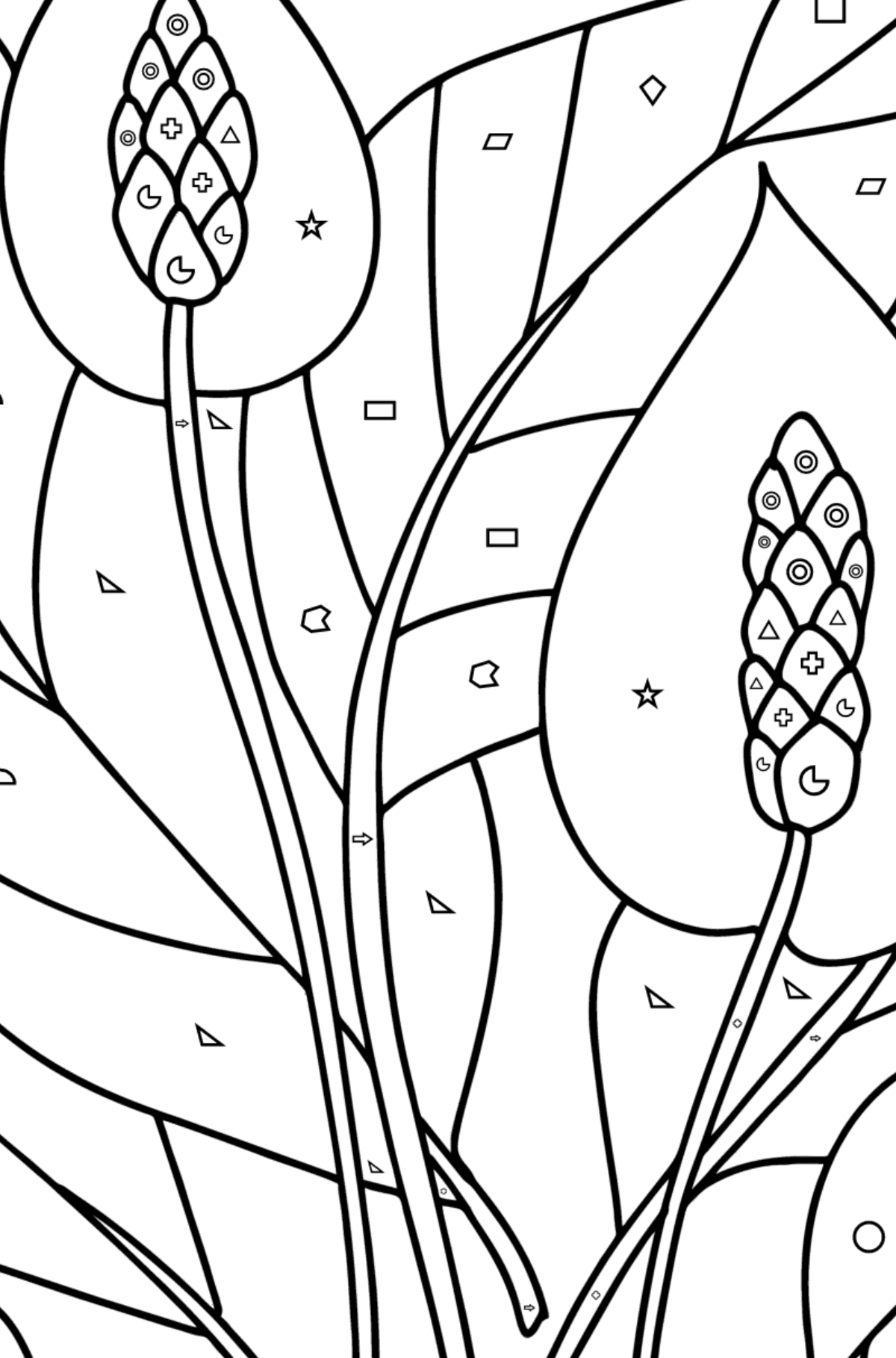 Tegning til farvning Spathiphyllum - Farvelægning af geometriske figurer for børn