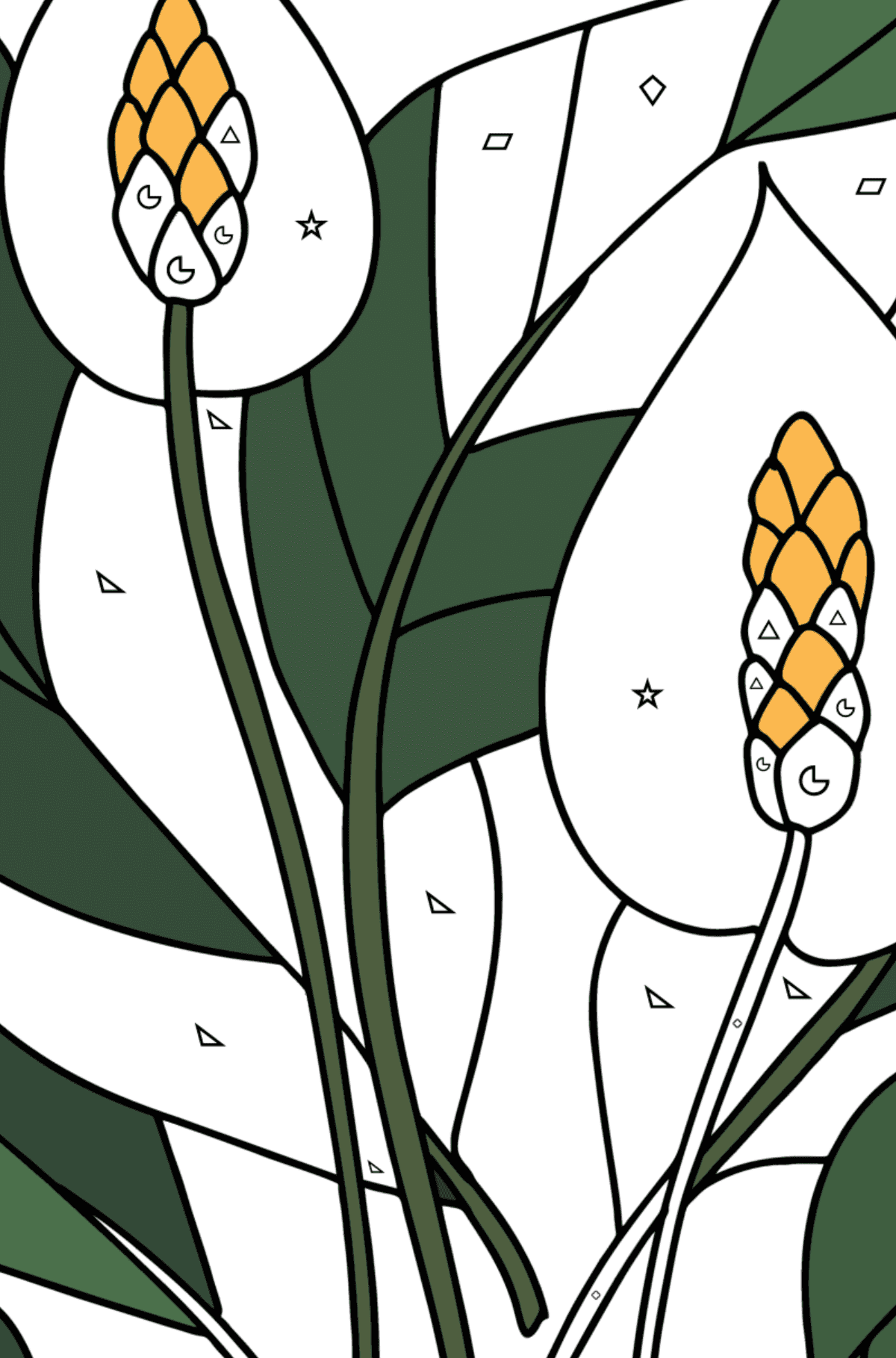 Ausmalbild Spathiphyllum - Ausmalen nach Geometrischen Formen für Kinder