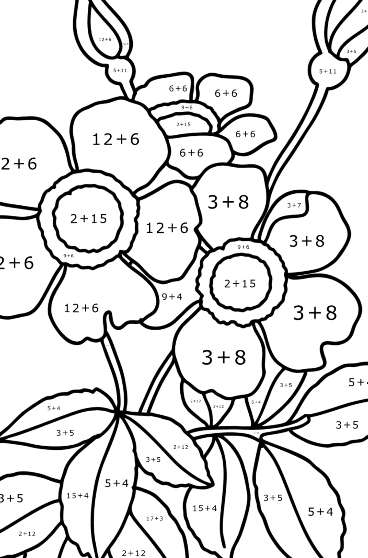 Spray rose coloring page - Math Coloring - Addition for Kids