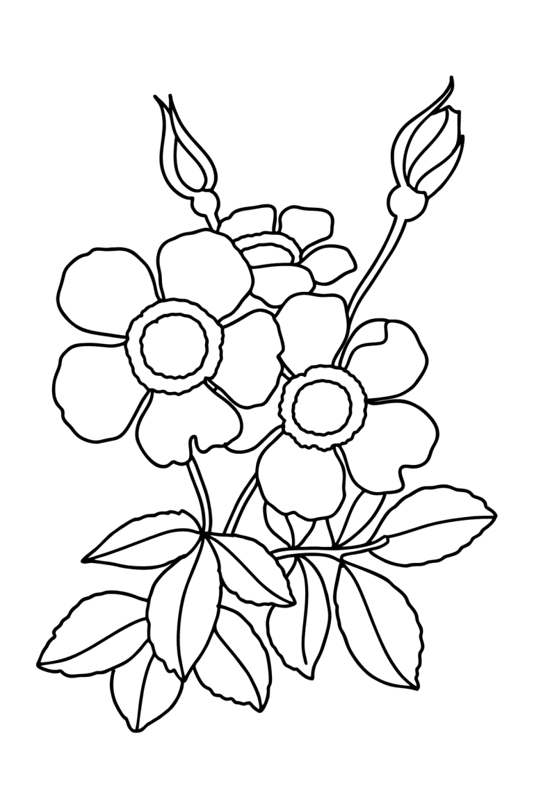 Flowers Coloring Pages - Printable for Free, and Color Online