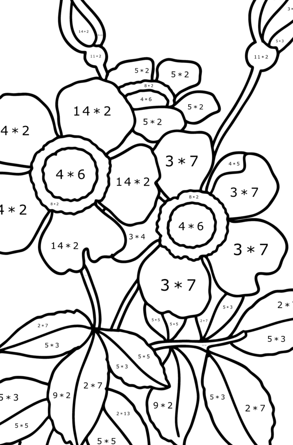 Tegning til farvning spray rose - Matematisk farvelægning side -- Multiplikation for børn