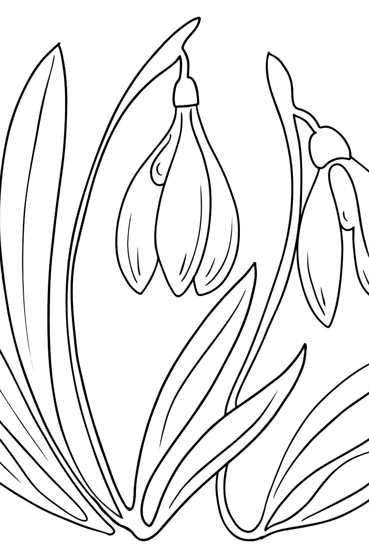 Coloring Page - spring flowers - Coloring Pages for Kids