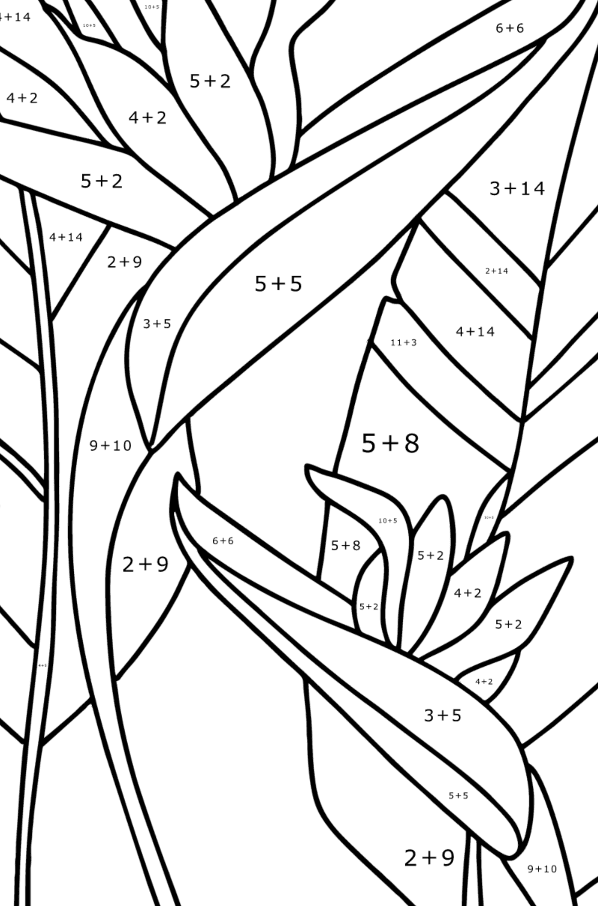 Strelitzia coloring page - Math Coloring - Addition for Kids