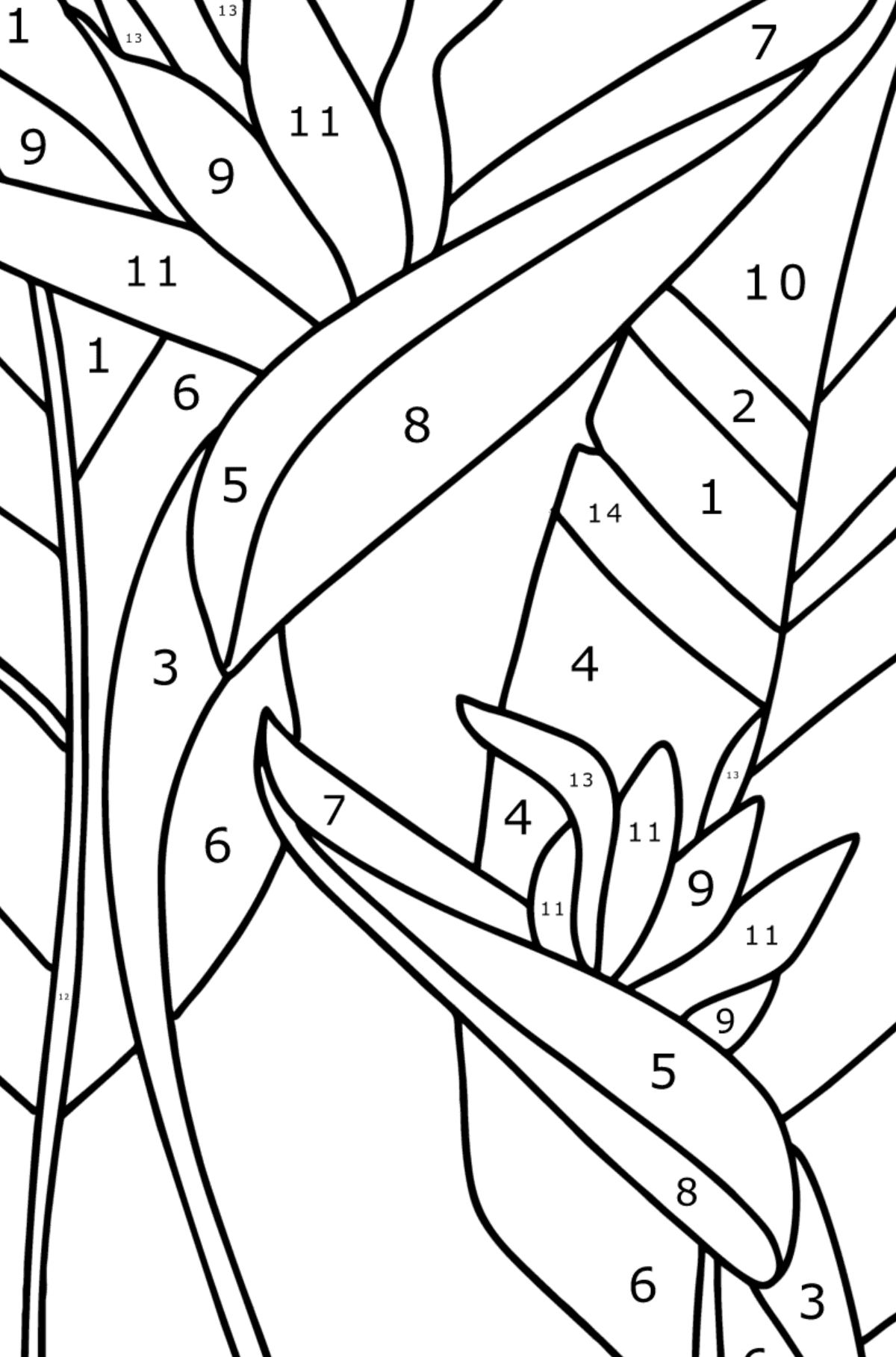 Strelitzia coloring page - Coloring by Numbers for Kids