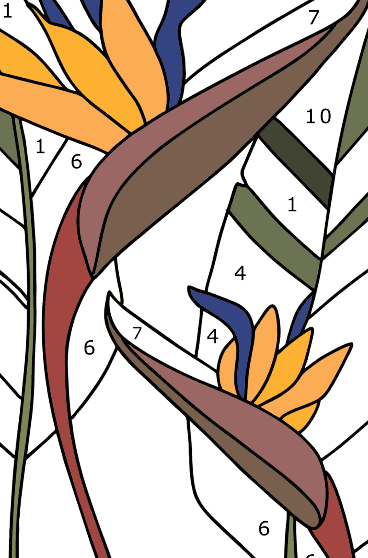 Coloriage Strelitzia - Coloriage par Chiffres pour les Enfants
