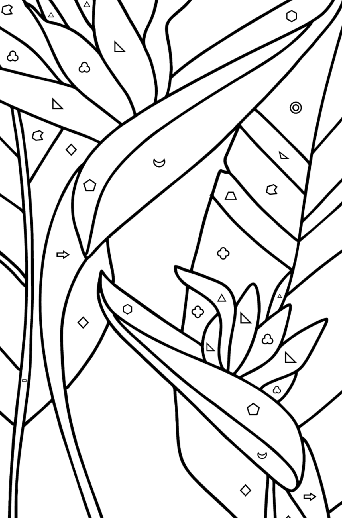Strelitzia coloring page - Coloring by Geometric Shapes for Kids