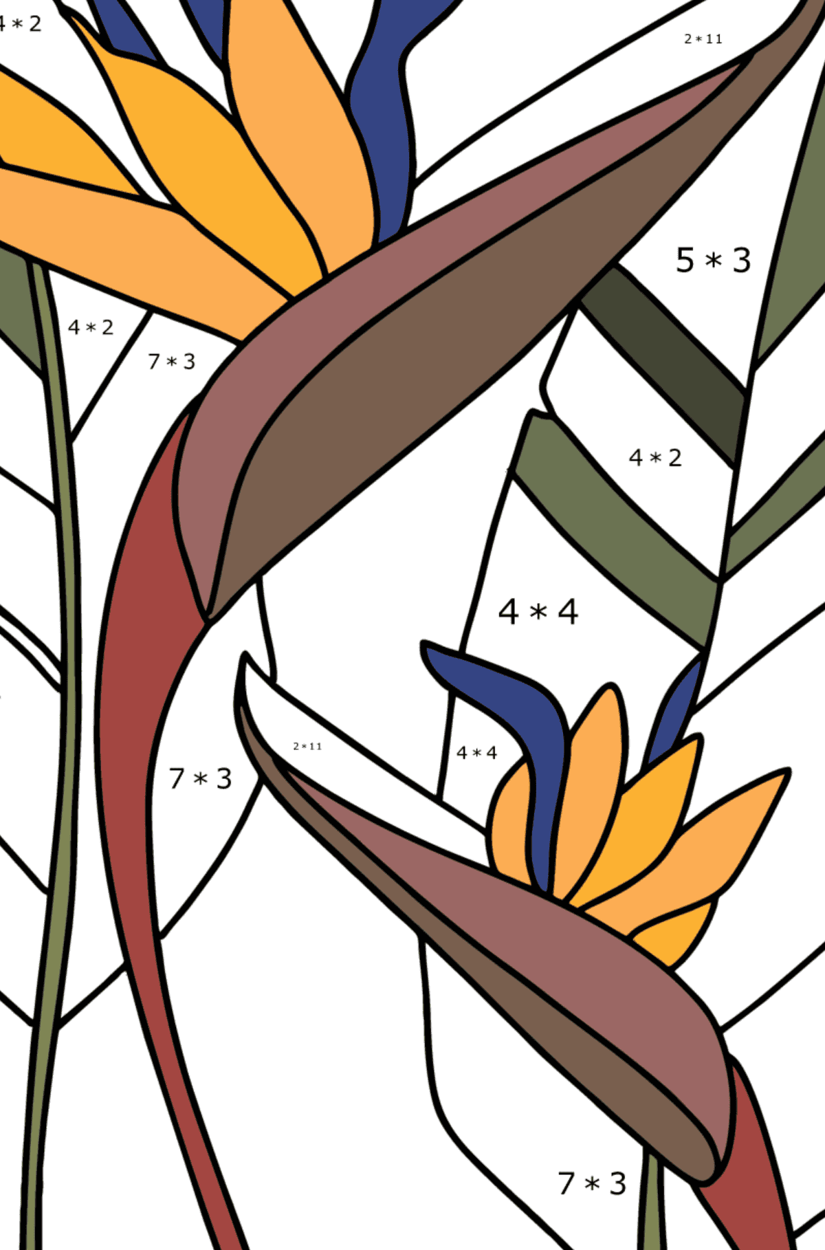 Tegning til farvning Strelitzia - Matematisk farvelægning side -- Multiplikation for børn